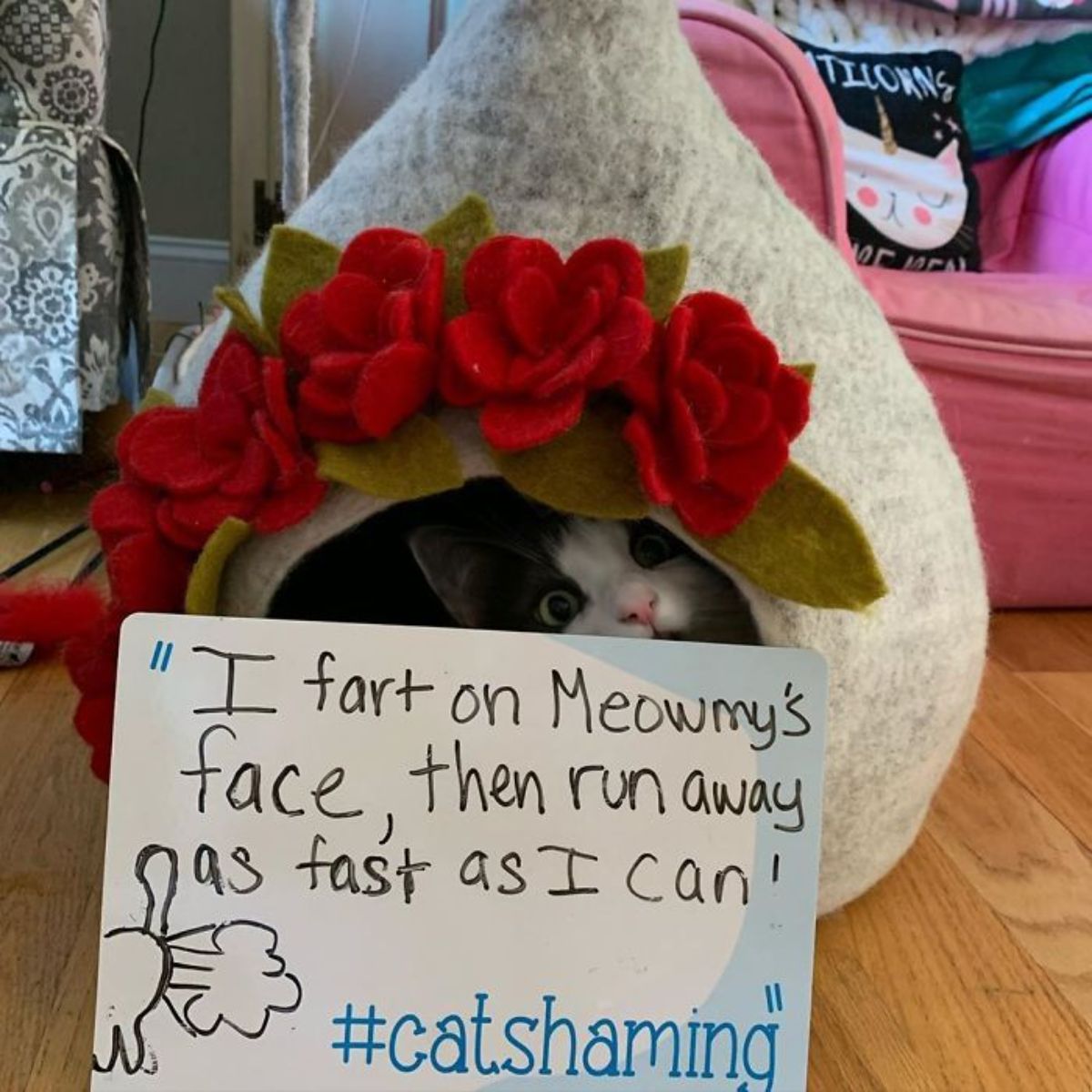 black and white cat peeking out of a white covered cat bed with red roses on the front with a note saying the cat farts on her mother's face and runs away