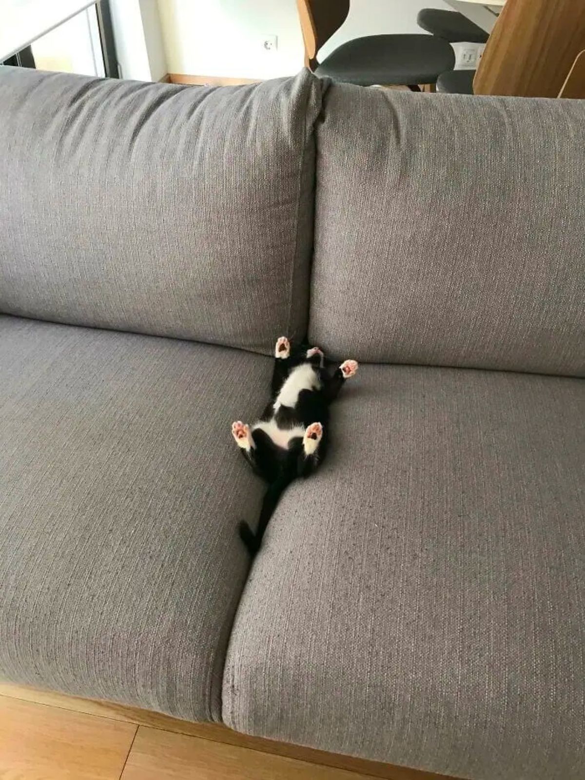 black and white cat sleeping belly up with paws in the air between 2 grey couch cushions on a couch