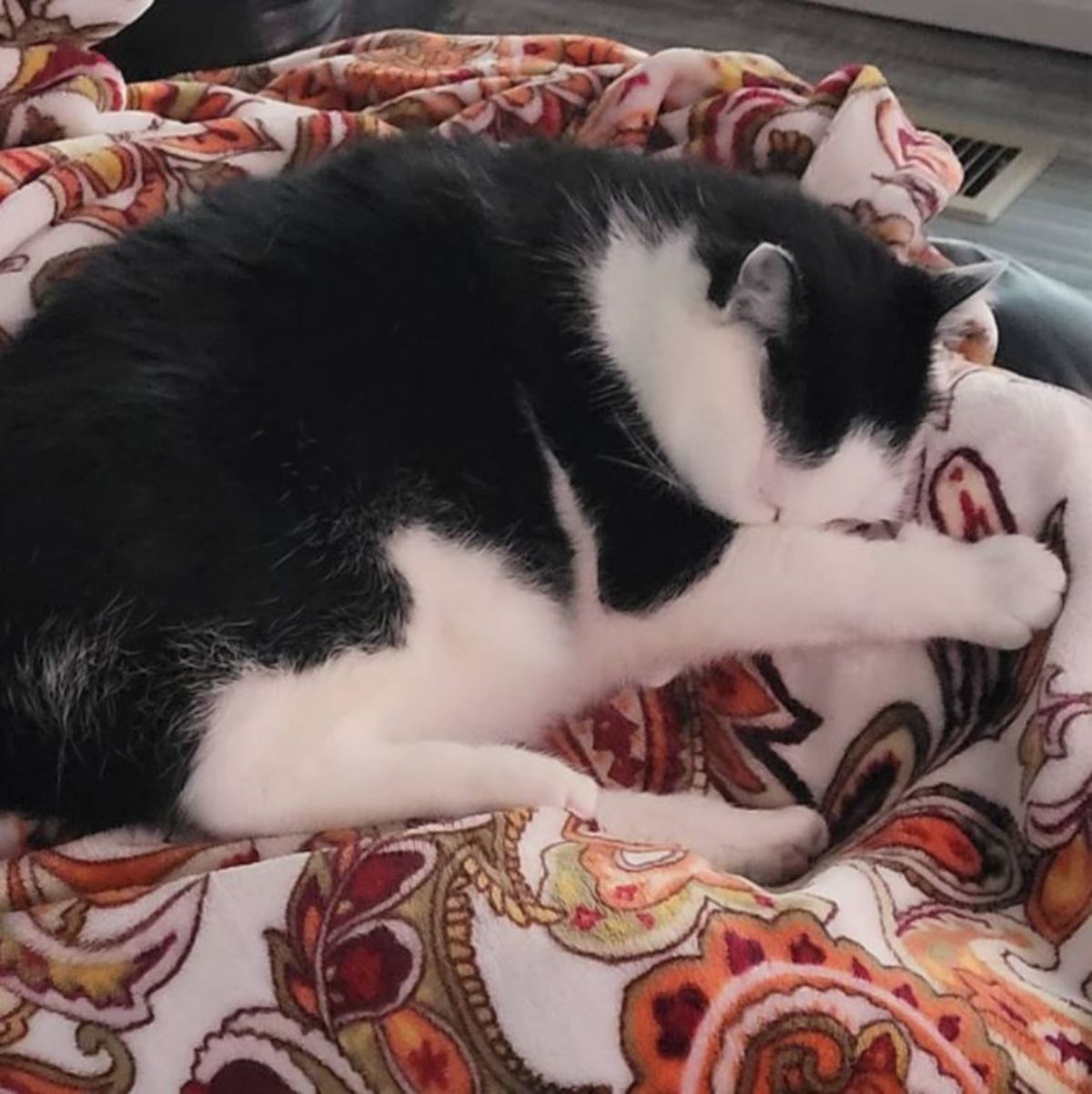 black and white cat sleeping on a multi-coloured patterned blanket