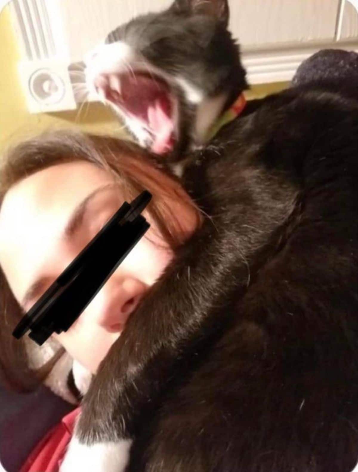 black and white cat with the mouth wide open and attacking a woman's head