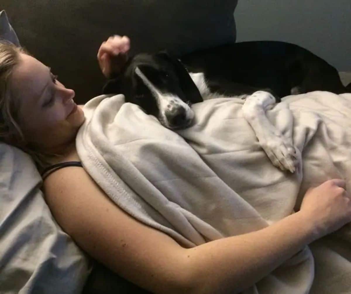 black and white dog laying on a bed next to a pregnant person and hugging the person's stomach