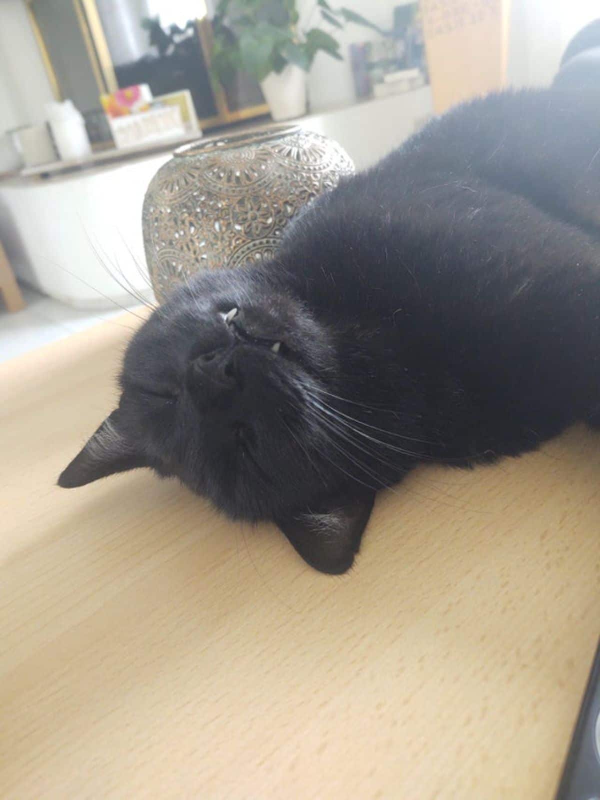 black cat laying sideways on a wooden table with the teeth showing