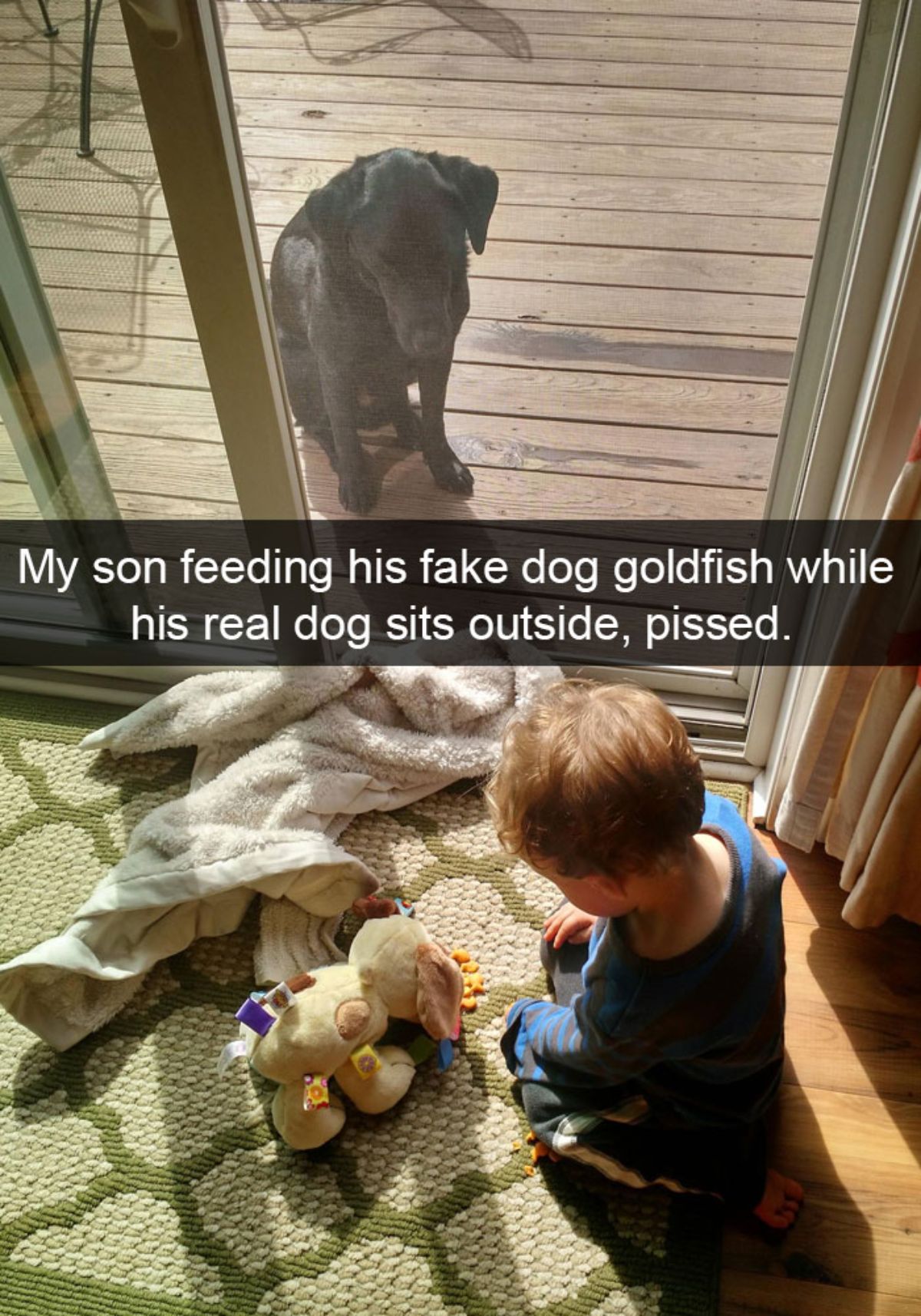 black labrador sitting on a wooden floor watching a little girl feeding a dog stuffed toy through a screen door with a caption saying my son feeding his fake dog goldfish while his real dog sits outside, pissed