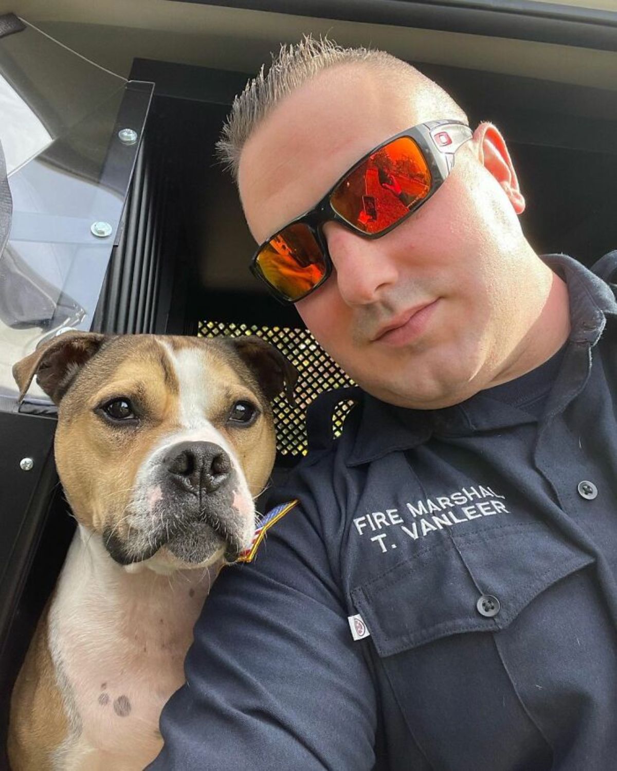 brown and white pitbull posing with a male fire marshal wearing red sunglasses