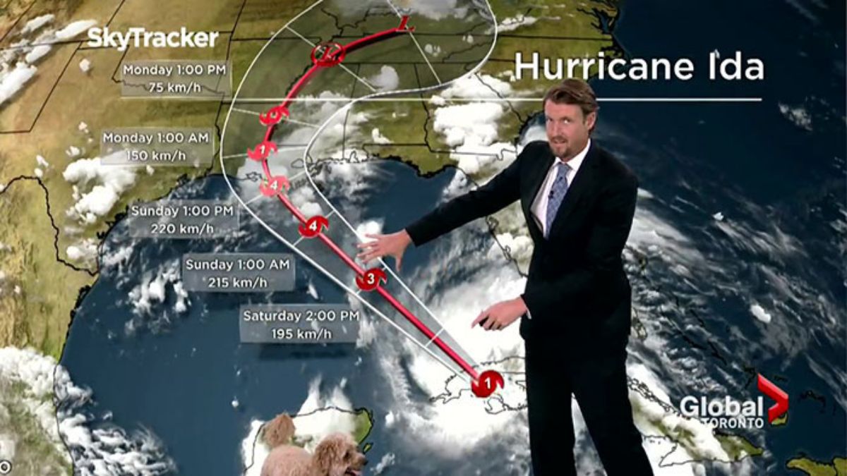 brown golden doodle standing next to a man in black suit showing a screen with hurrican ida's path highlighted