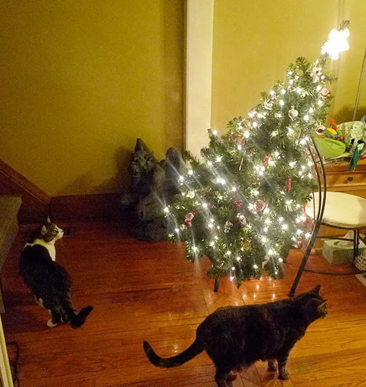 christmas tree toppling over with a black cat and a black and white cat standing nearby