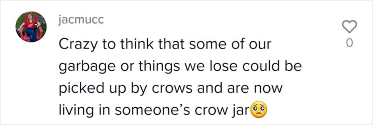 comment saying it's crazy to imagine that our garbage and lost things could be in someone's crow jar