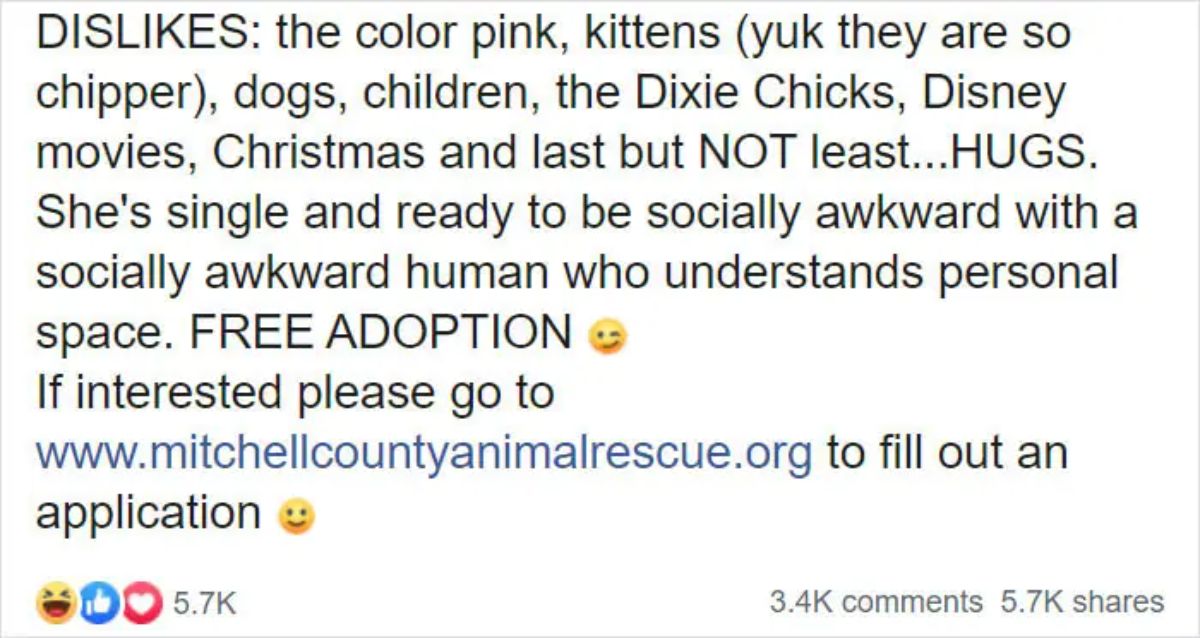 facebook adoption post about perdita