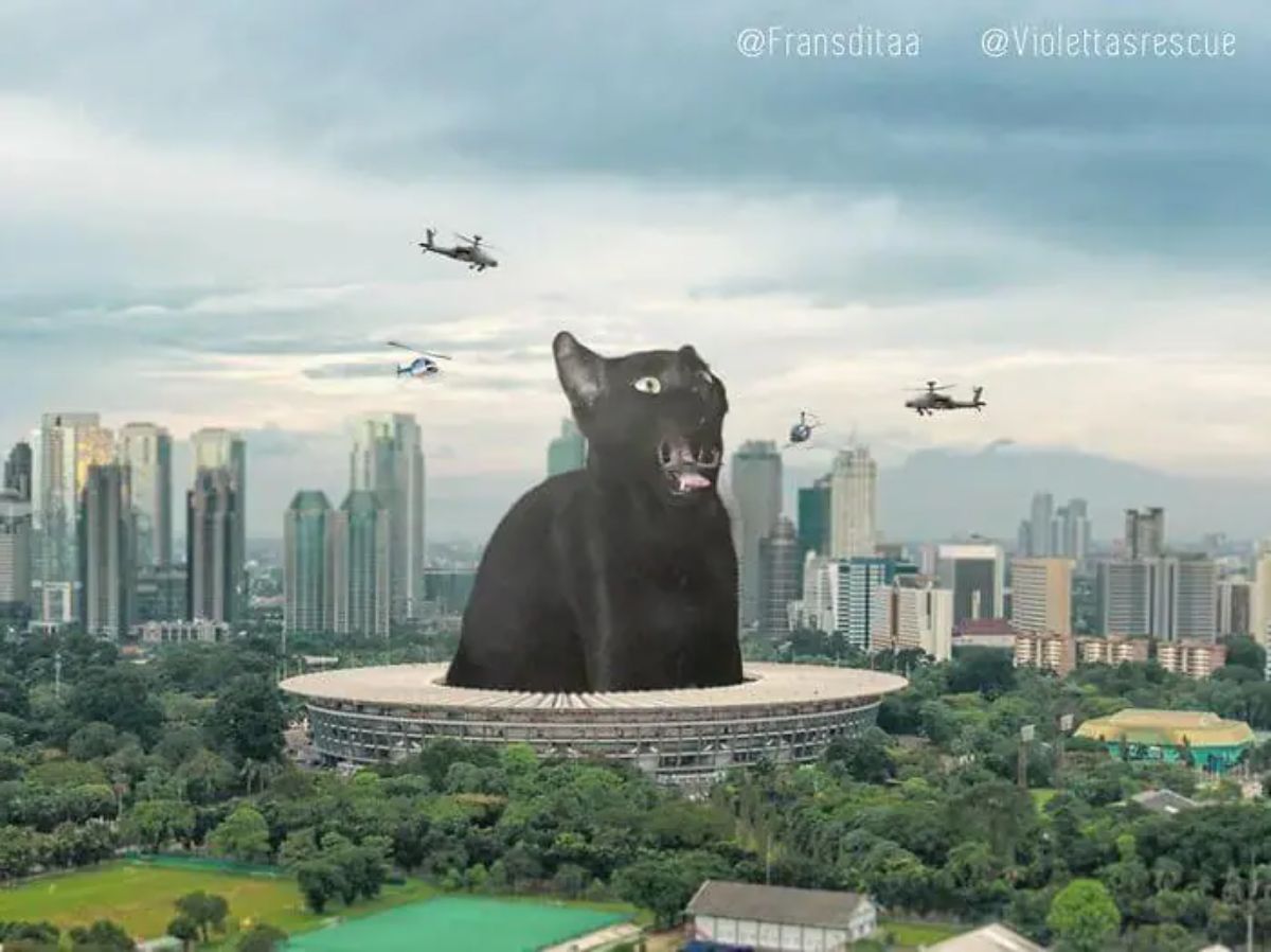 giant photoshopped black cat with its mouth open with a helicopter in it sitting in the middle of a stadium with 4 helicopters circling its head
