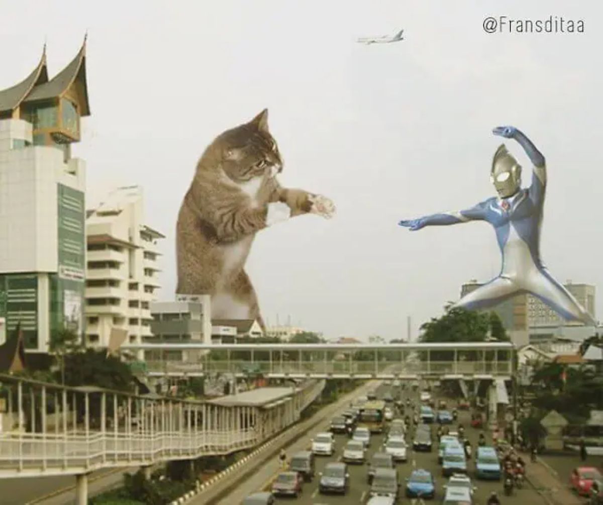 giant photoshopped brown and white tabby cat with its front legs outstretched facing a person in a blue and white suit and silver mask doing martial arts moves in a city