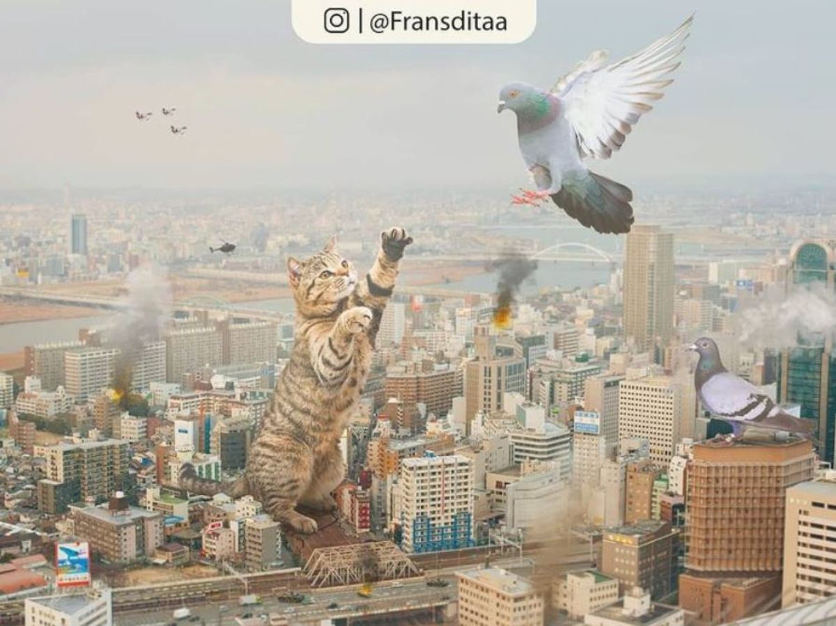 giant photoshopped brown tabby cat standing on hind legs in the middle of a burning city trying to swat at a giant photoshopped grey pigeon with 4 helicopters in the sky