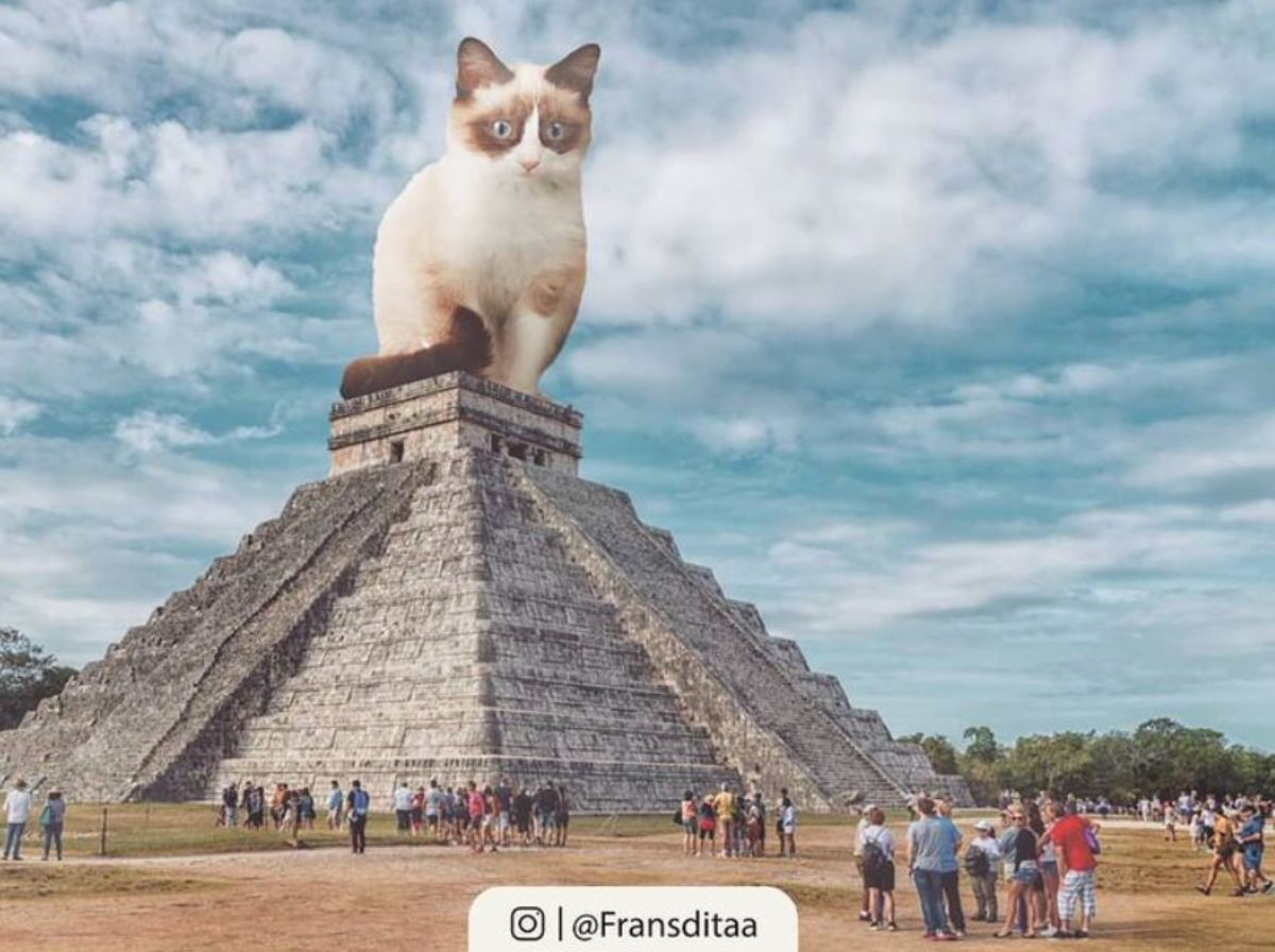 giant photoshopped cream and brown siamese cat sitting at the top of a grey pyramid with stairs on the sides