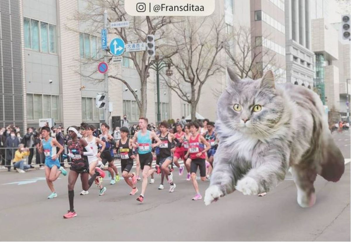 giant photoshopped grey and black fluffy cat running on the road next to people running in a foot race
