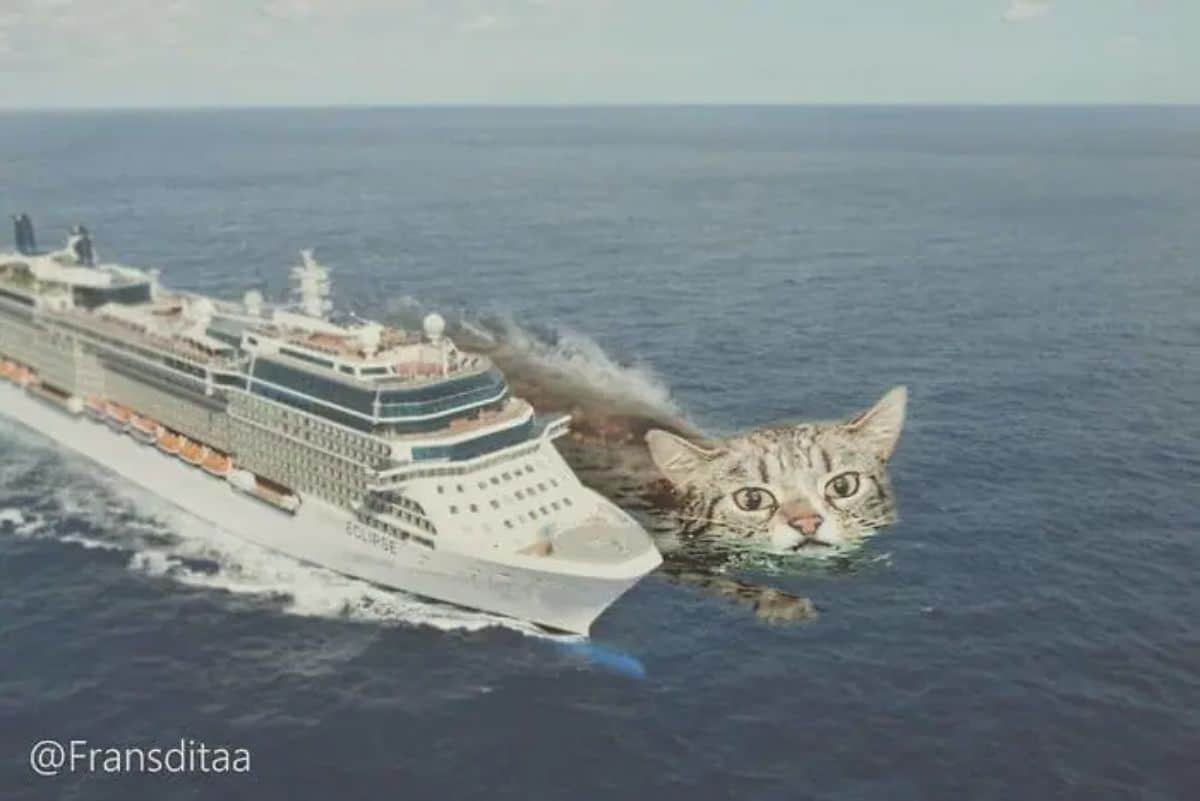 giant photoshopped grey tabby cat swimming in the icean next to a large cruise ship