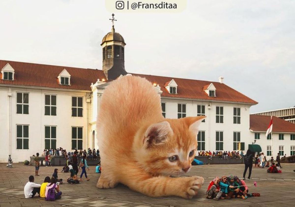 giant photoshopped orange kitten standing in front of a white building and trying to swat at a group of 4 people taking a selfie