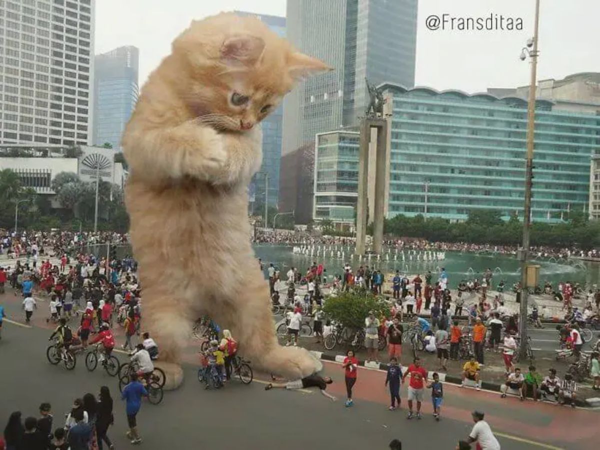 giant photoshopped orange kitten standing on a road at a bicycle race surrounded by people and stepping on a man on the ground