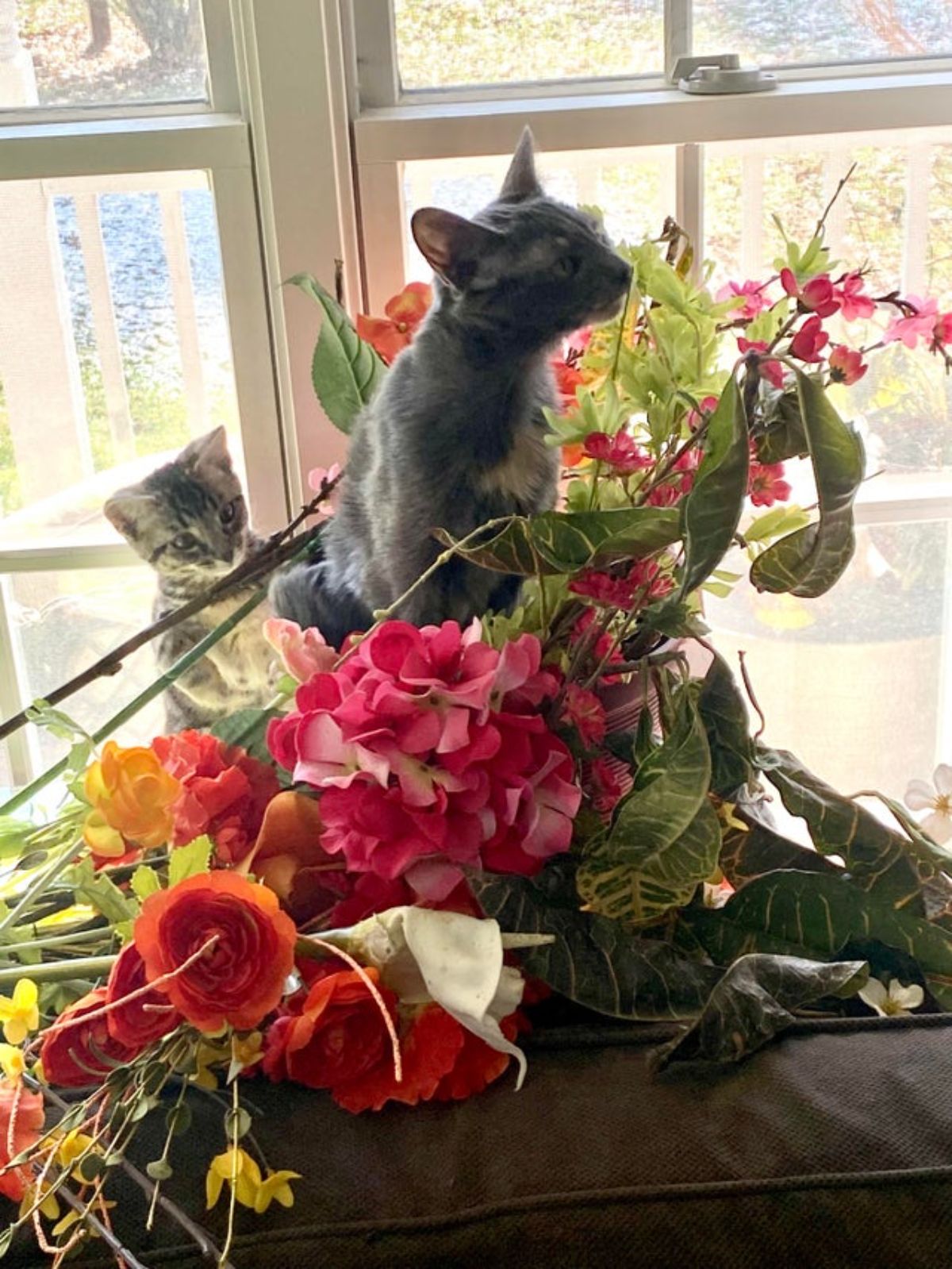 grey and white kitten and grey and white tabby kitten breaking apart a bouquet and vase of flowers