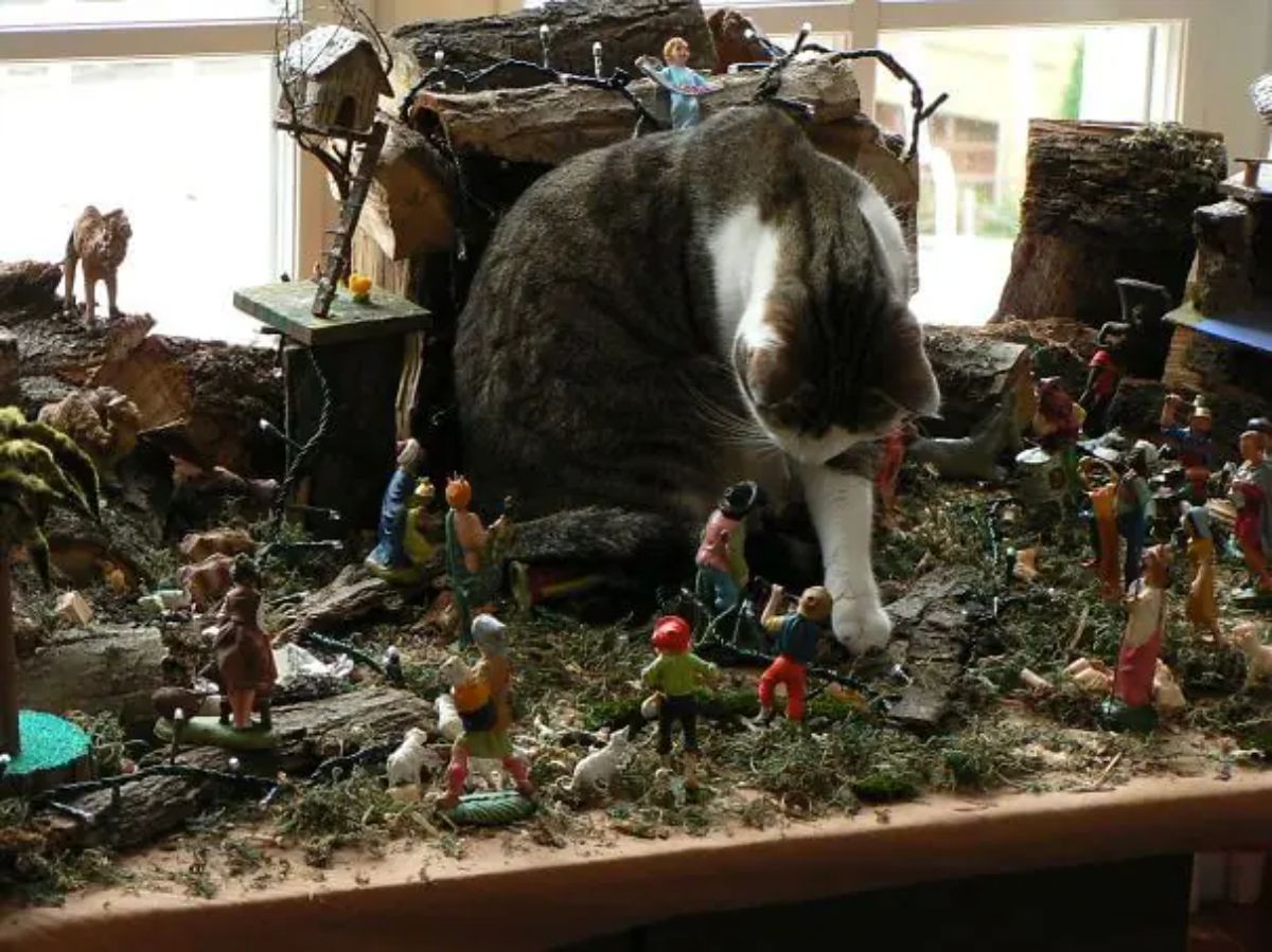 grey and white tabby cat sitting in the middle of a ruined nativity scene swatting at a figurine of a person