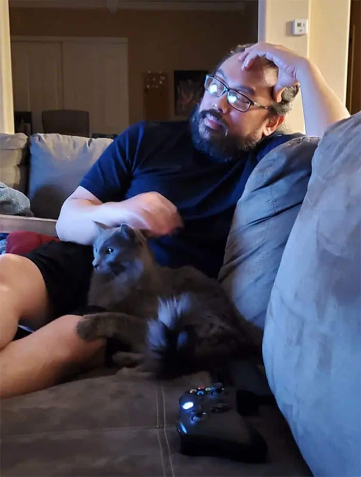 grey fluffy cat laying on a grey sofa next to a man and laying partly on his lap