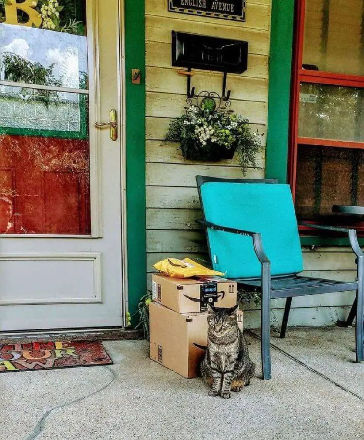 grey tabby cat sitting on a porch next to a stack of 3 amazon packages and a black and blue chair by the front door