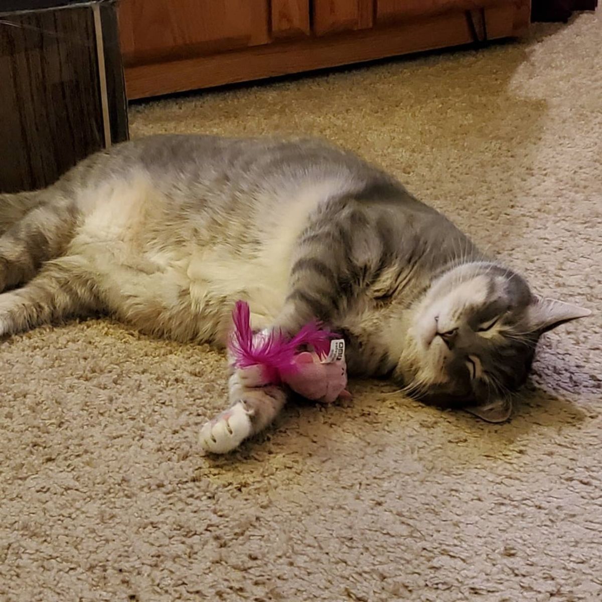 grey tabby cat sleeping on beige carpet holding a pink cat toy