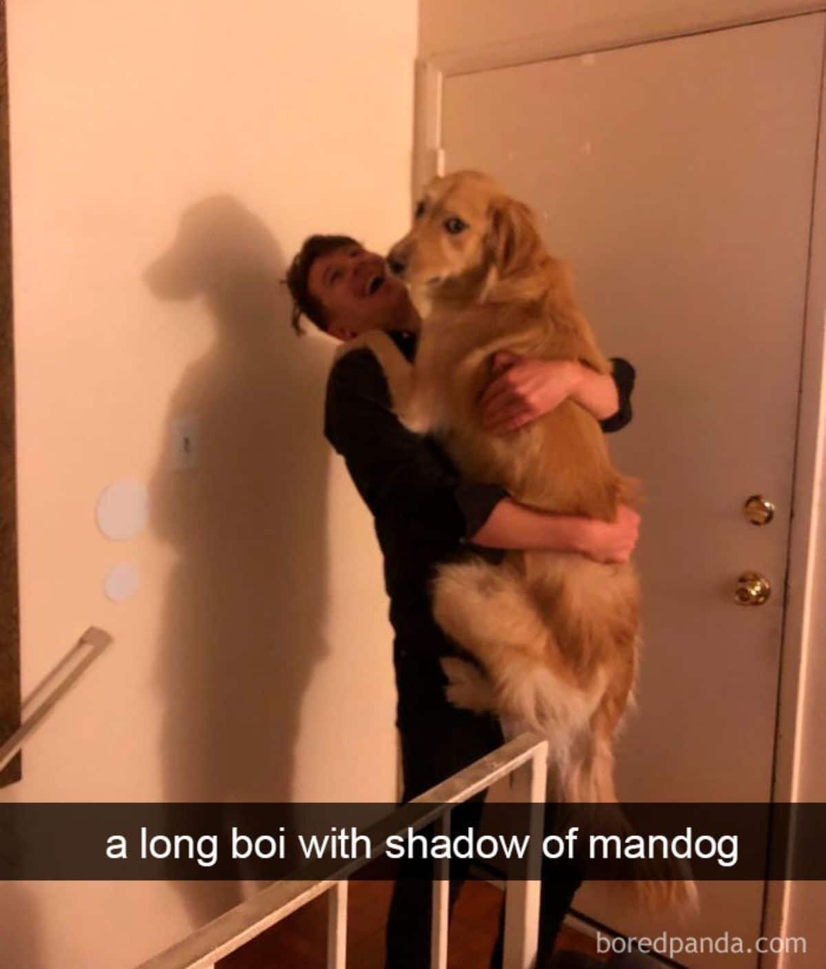 golden retriever being carried by a man with their shadow cast on the wall behind them with a caption saying a long boi with shadow of mandog