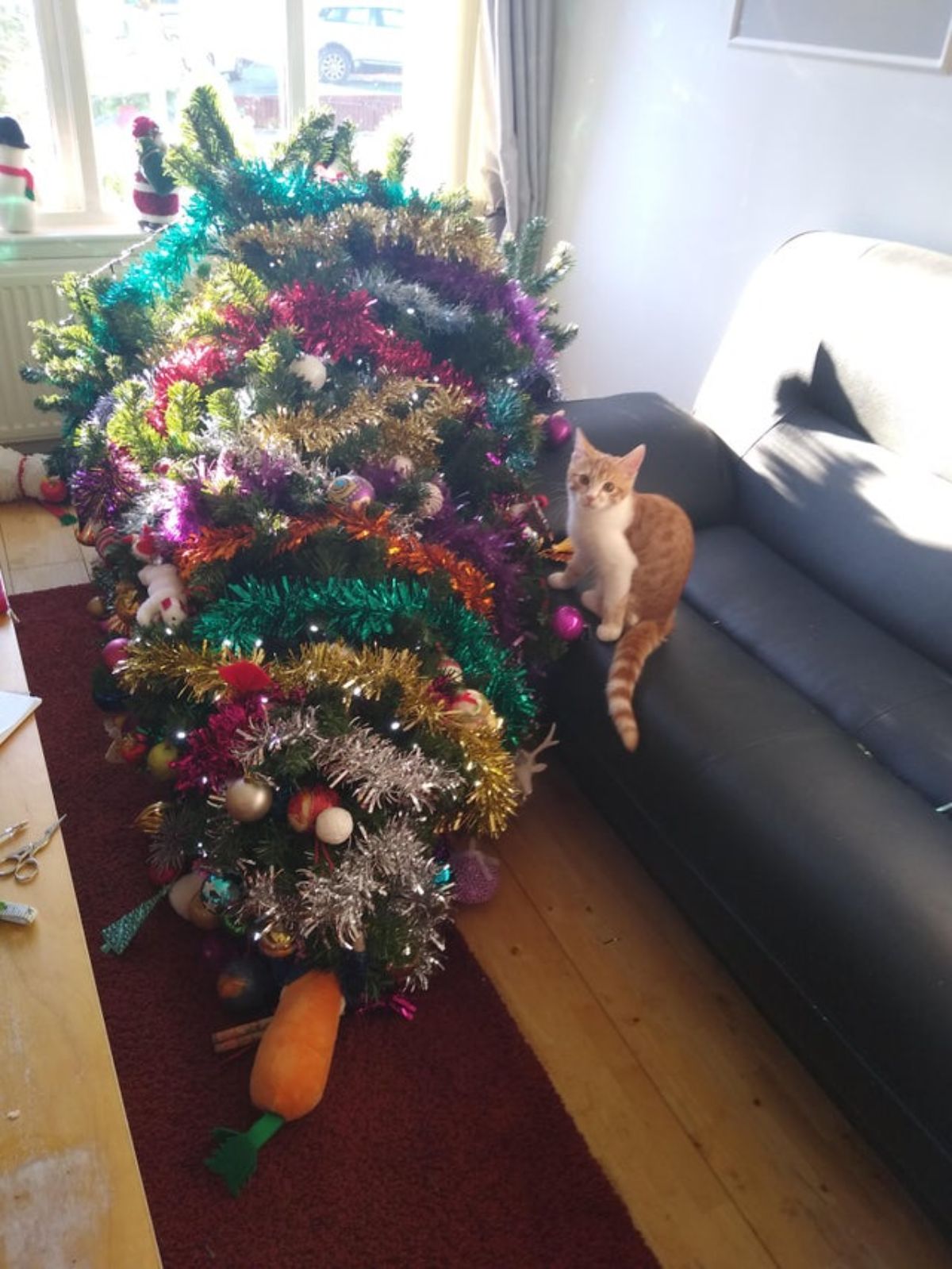 orange and white cat sitting on a black sofa next to a fallen christmas tree