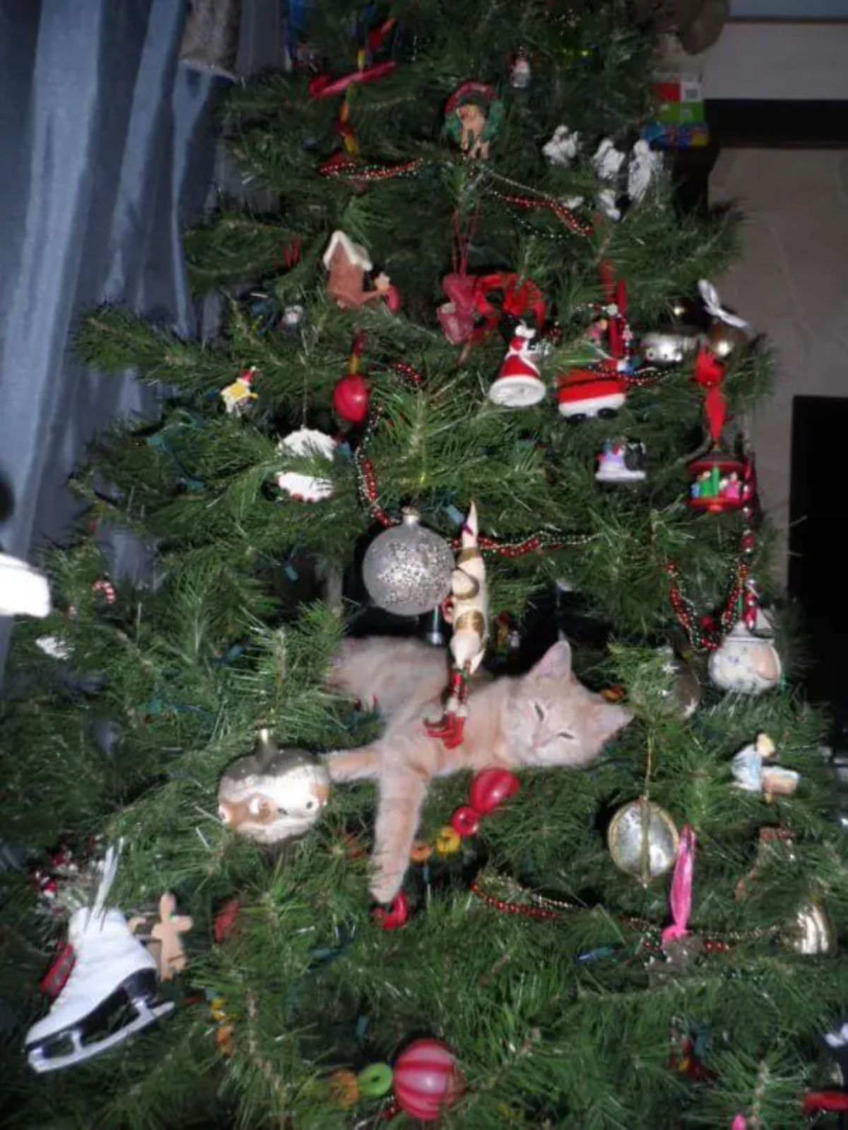 orange cat laying inside a christmas tree