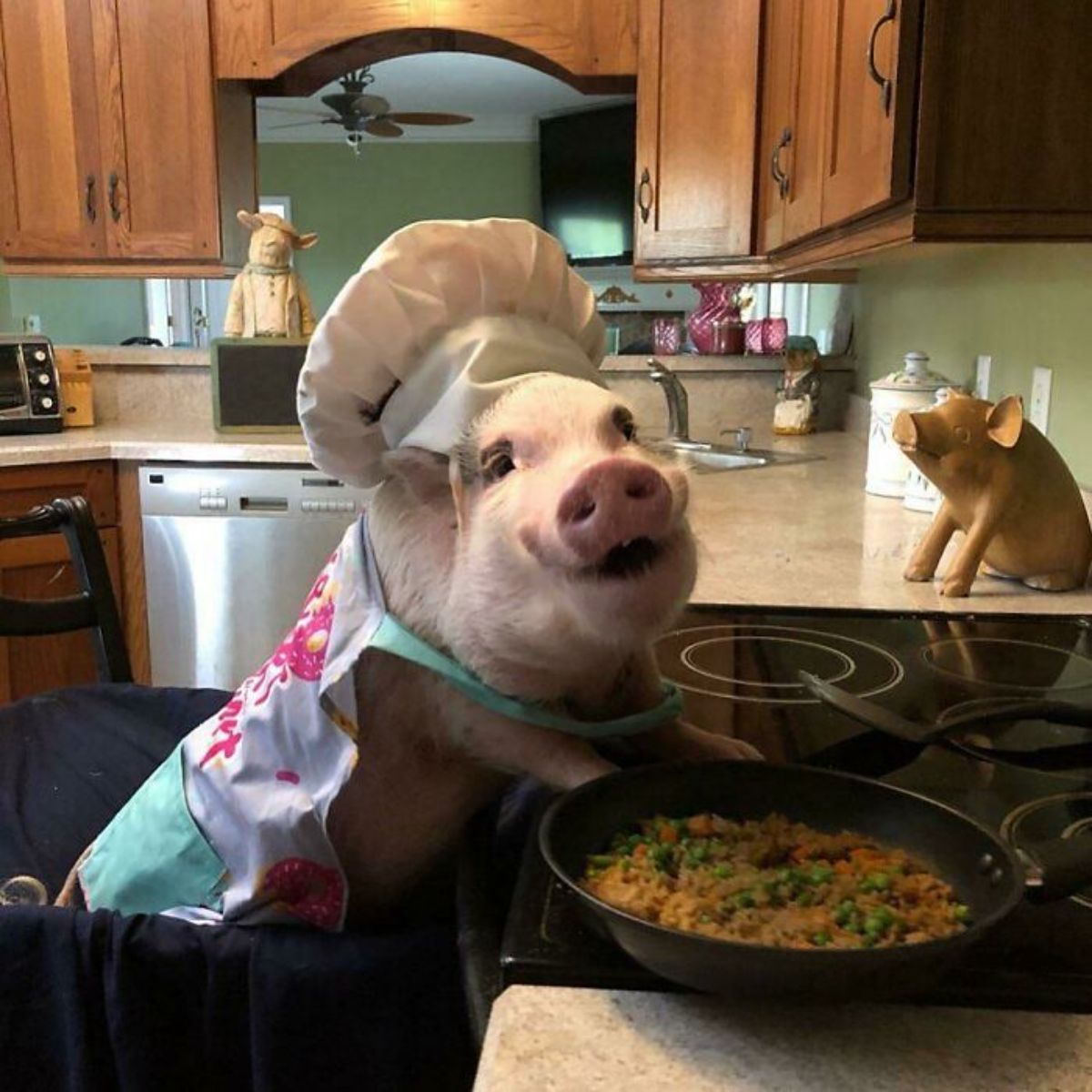 pink pig wearing a chef's hat and an apron standing at a kitchen counter over a pan of food