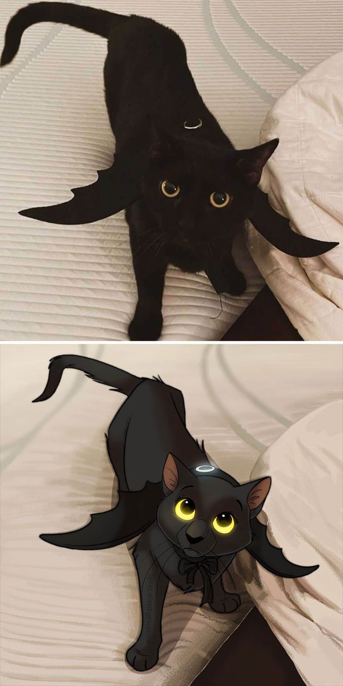 real photo and cartoon image of a black cat on a white bed wearing black bat wings