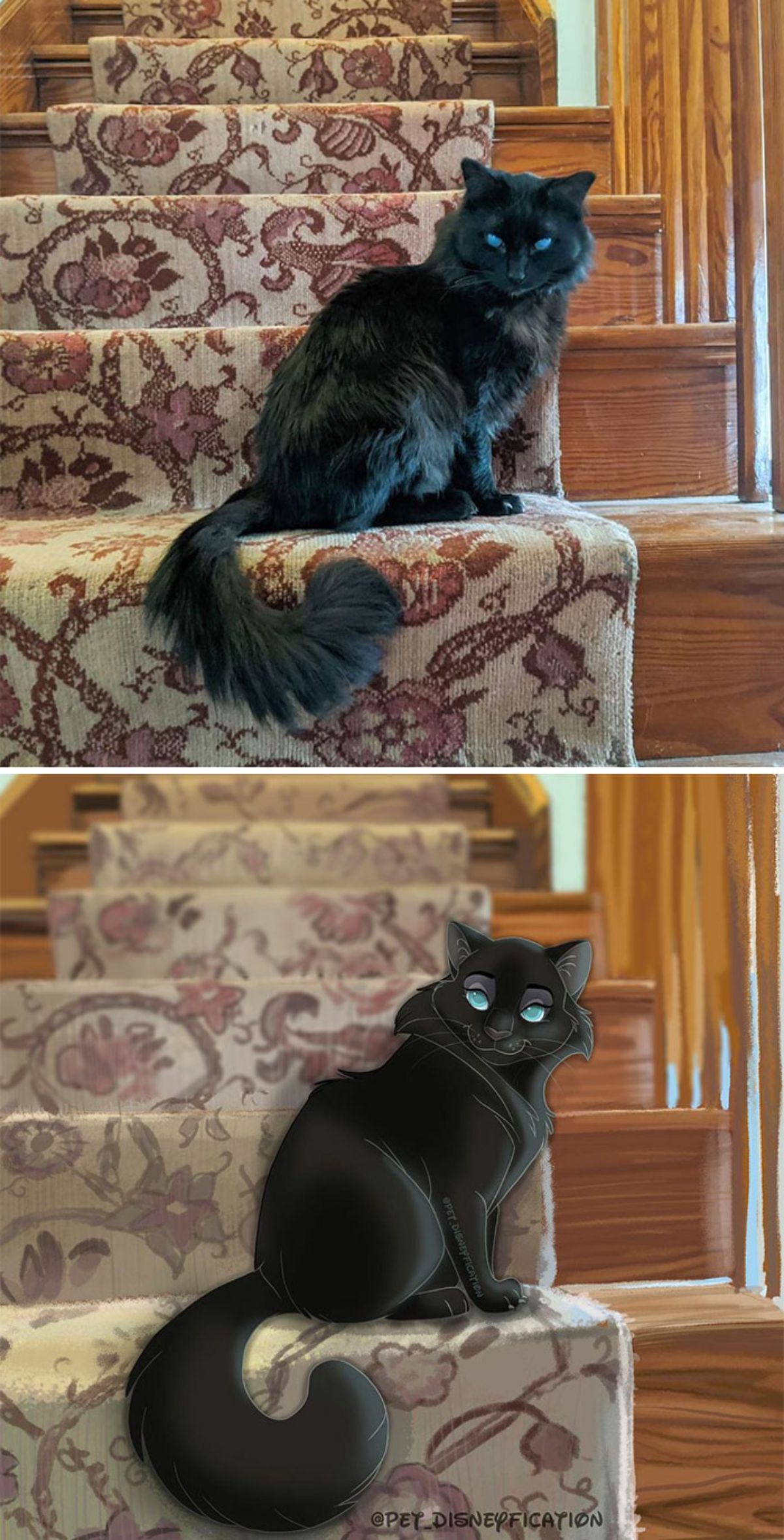real photo and cartoon image of a black cat sitting on stairs