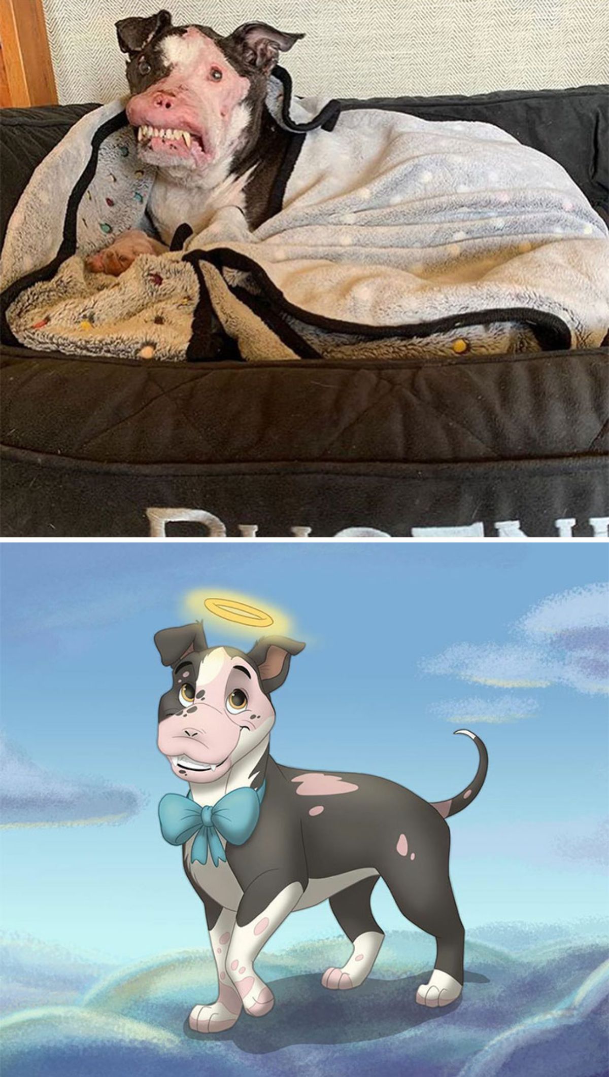 real photo and cartoon image of a black white and pink dog