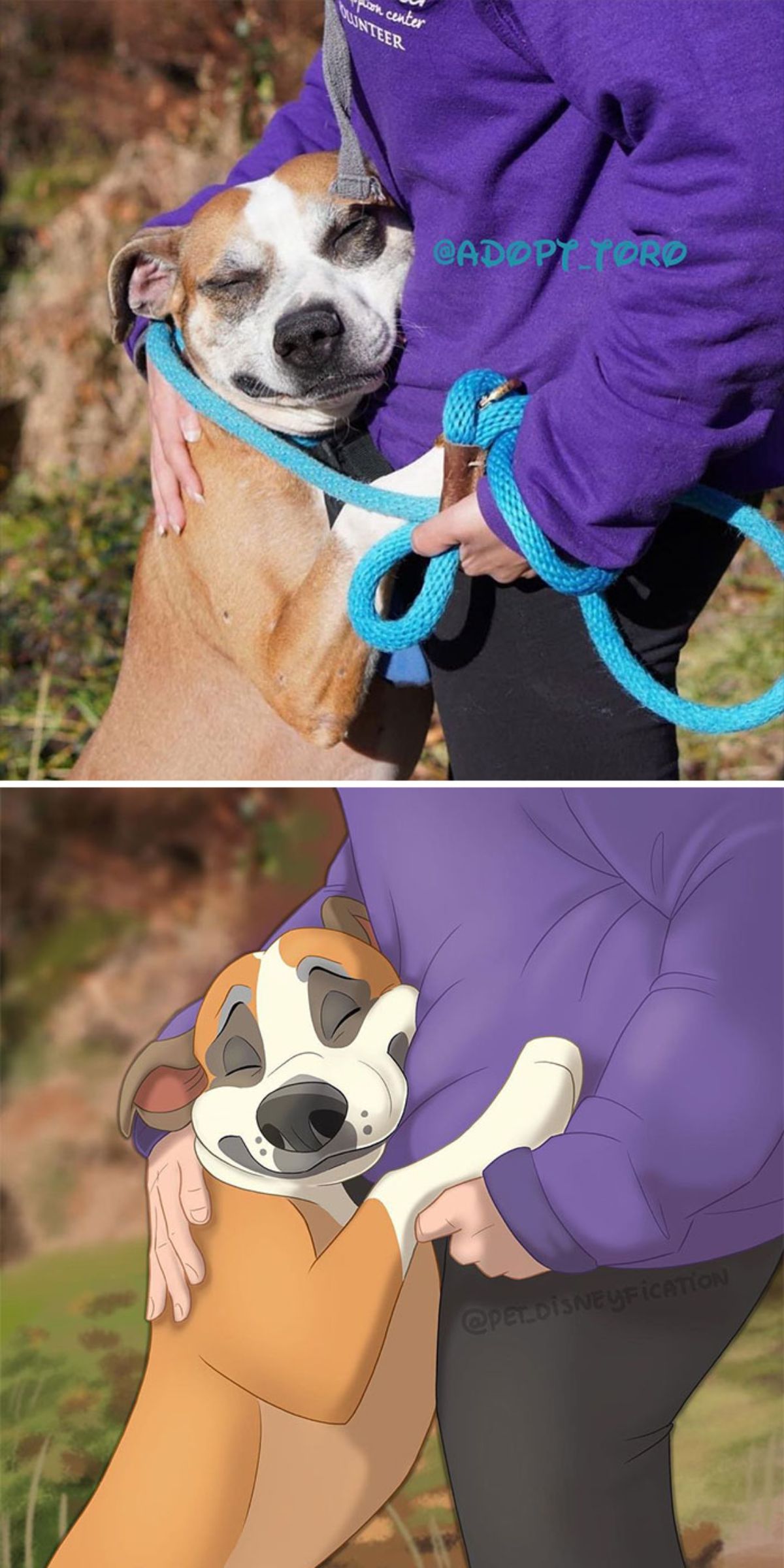 real photo and cartoon image of a brown and white dog wearing a blue leash standing on hidn legs and hugging someone