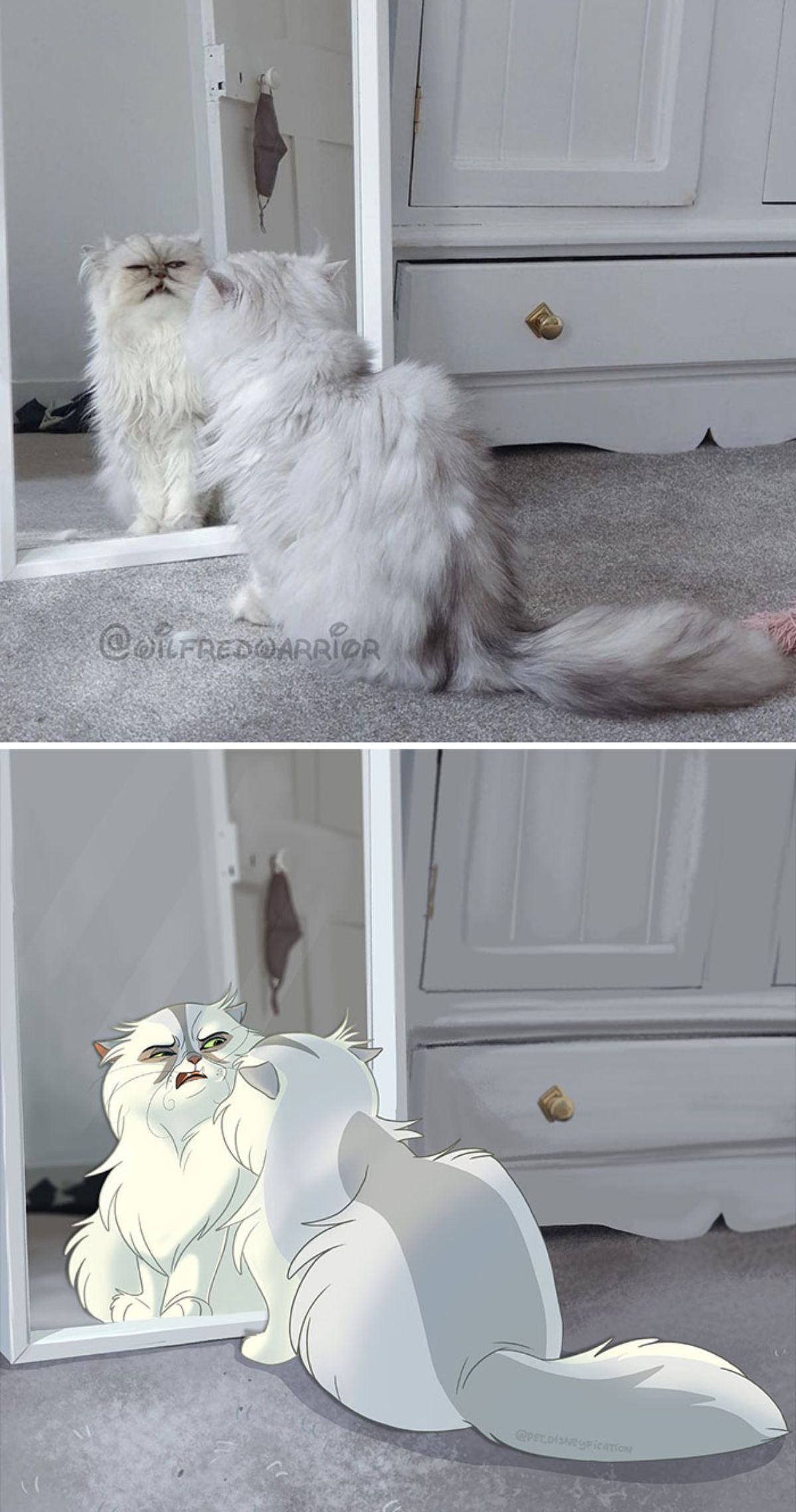 real photo and cartoon image of a fluffy white cat looking in a large mirror