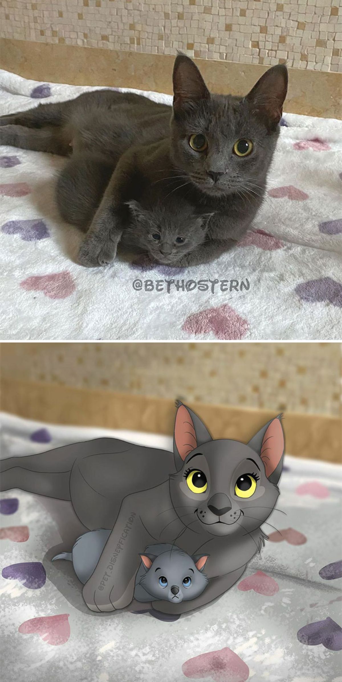 real photo and cartoon image of a grey cat laying on a white blanket cuddling a grey kitten