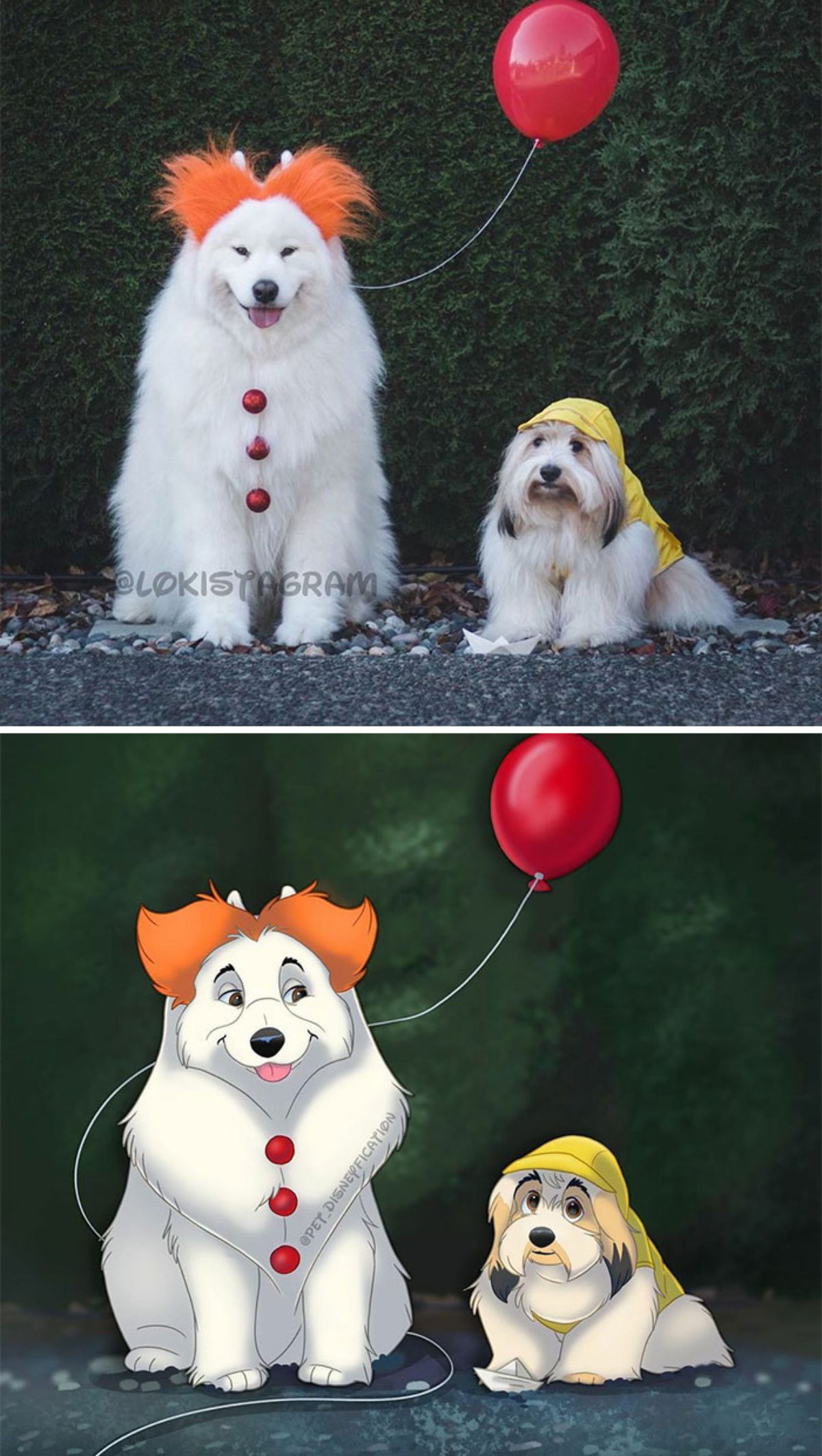 real photo and cartoon image of a large white fluffy dog wearing an orange wig with a red balloon and a small fluffy white dog wearing a yellow hoodie