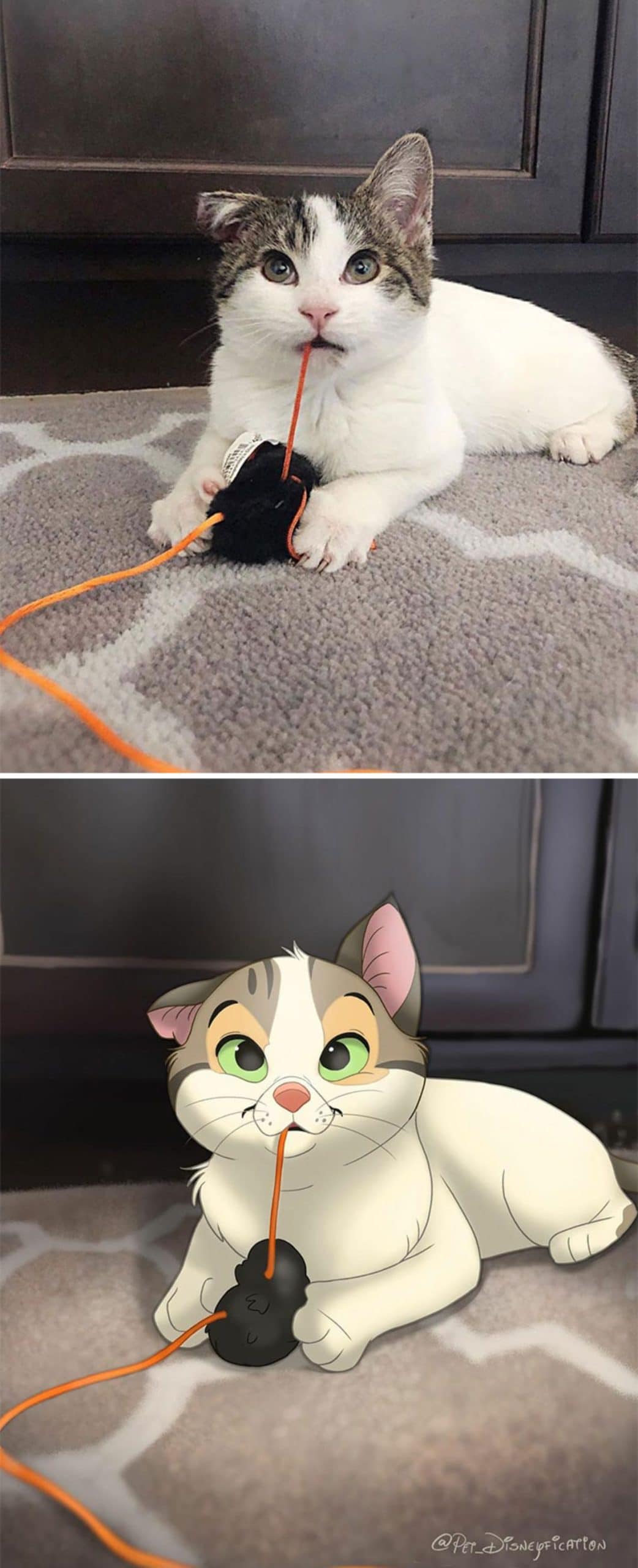 real photo and cartoon image of a white and grey cat laying on a carpet with orange string from a black and orange toy in its mouth
