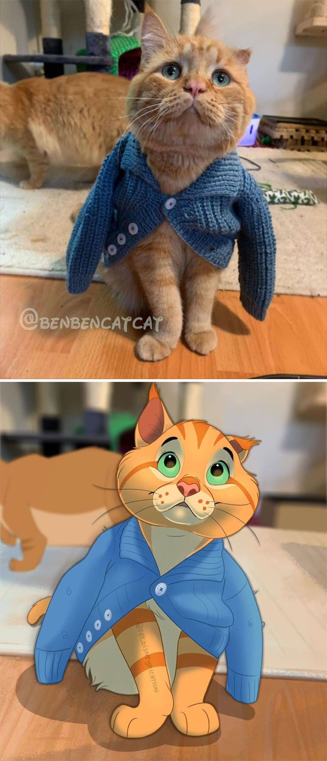 real photo and cartoon image of an orange cat wearing a blue knit sweater