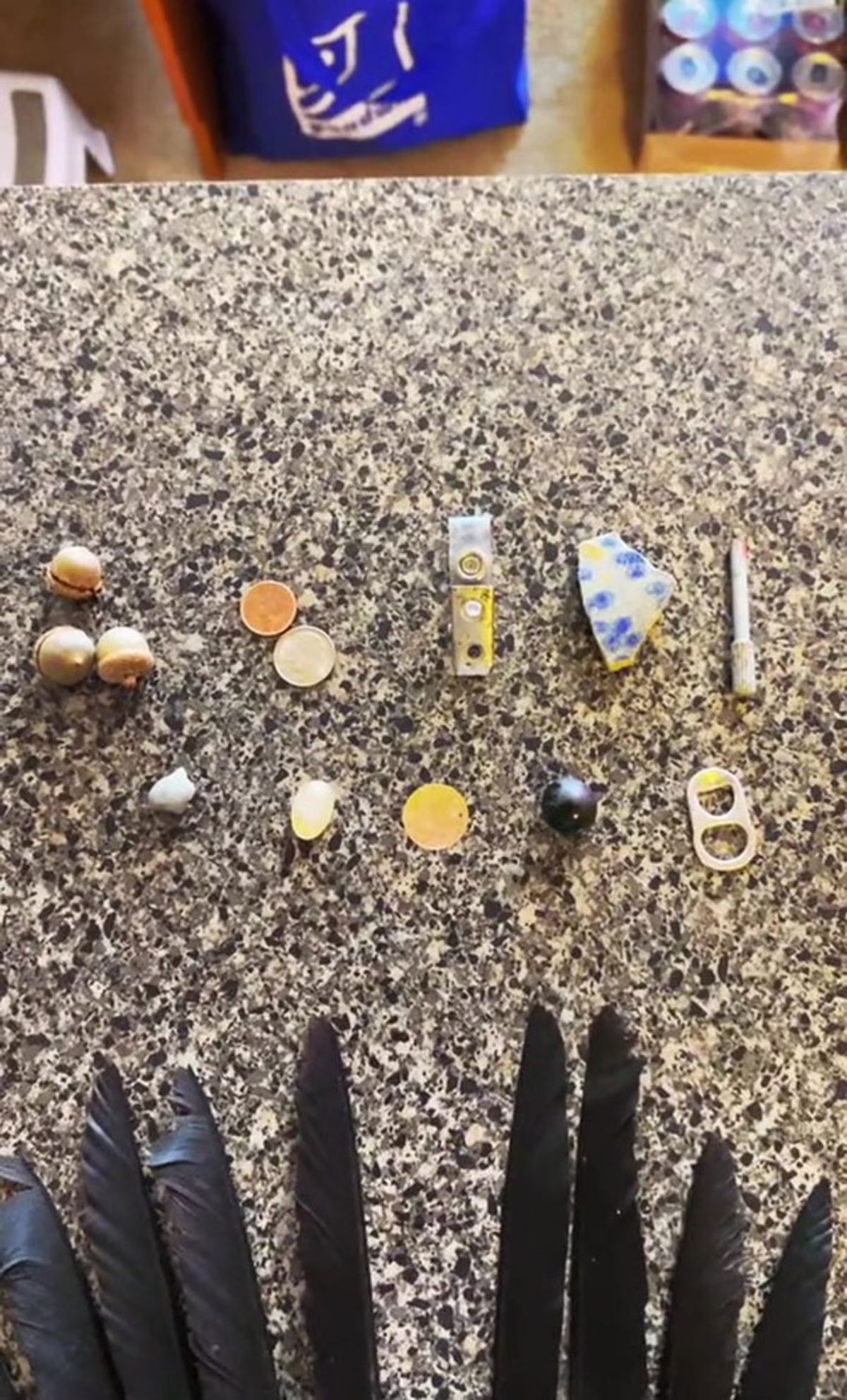 some black feathers, 3 acorns, small fruits and other small items on a marble counter
