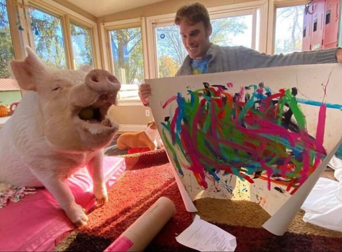 white pig on a pink mattress with its mouth open next to a man holding up a colourful painting on a white canvas