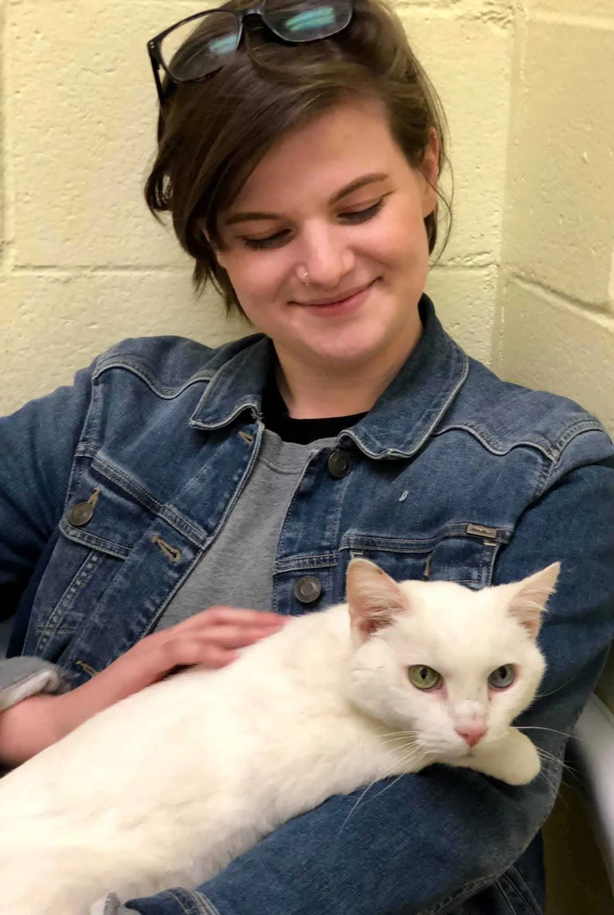 young woman sitting on the floor against a yellow wall holding and petting a white cat