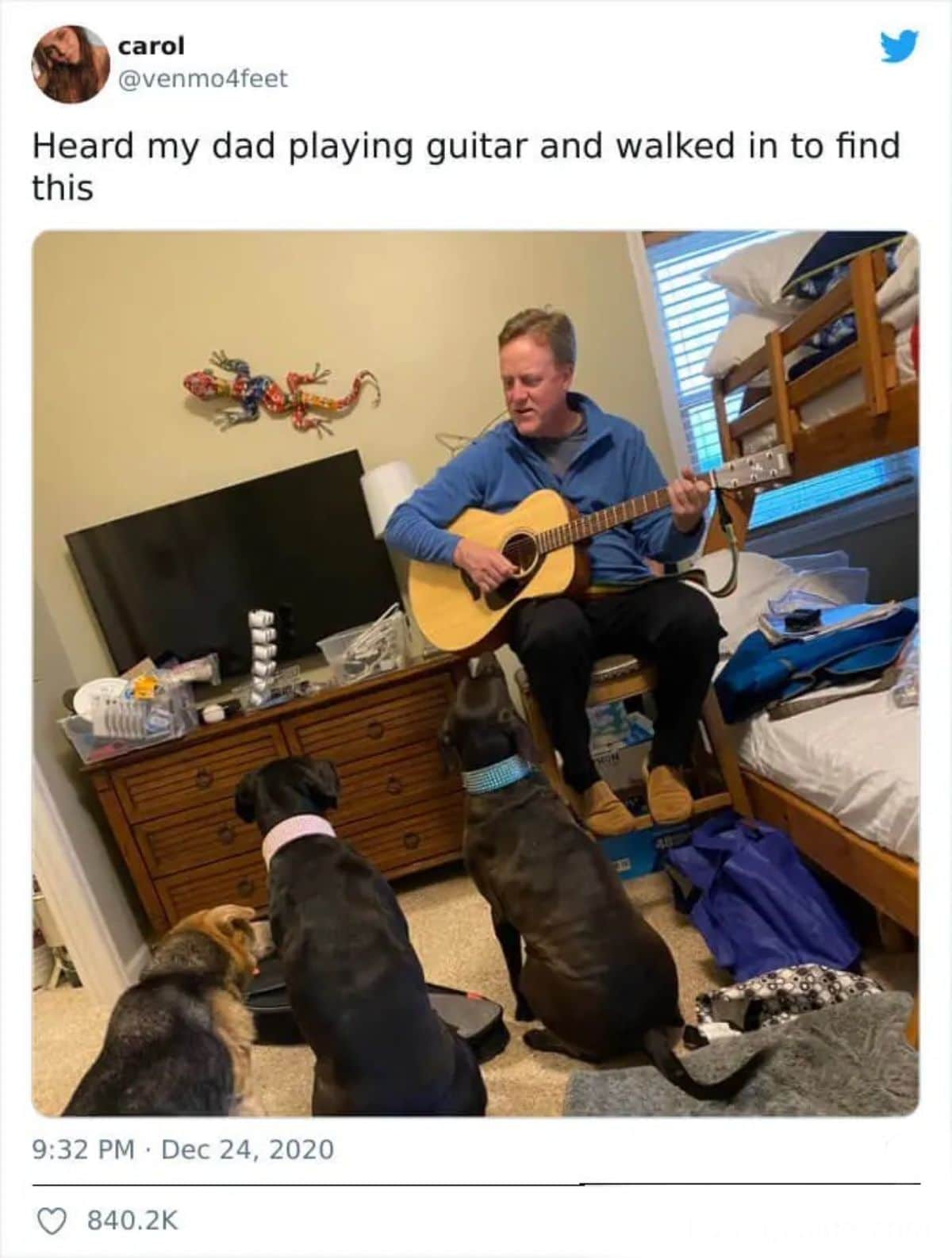 1 black and brown dog and 2 black dogs sitting in front of a man playing guitar on a stool