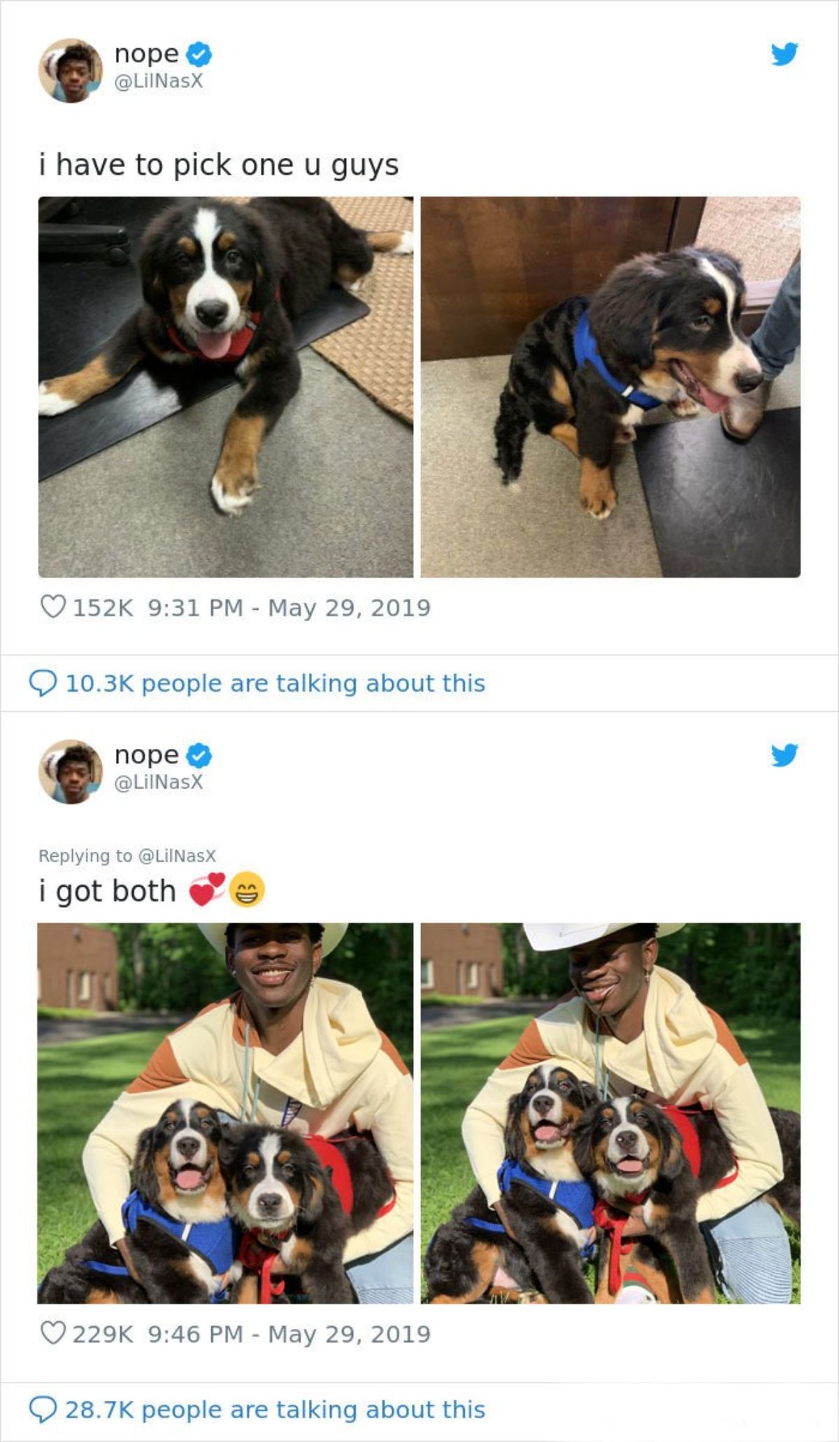1 tweet of 2 st bernard puppies saying i have to pick one and 1 tweet saying i got both with lil nas x posing with both puppies