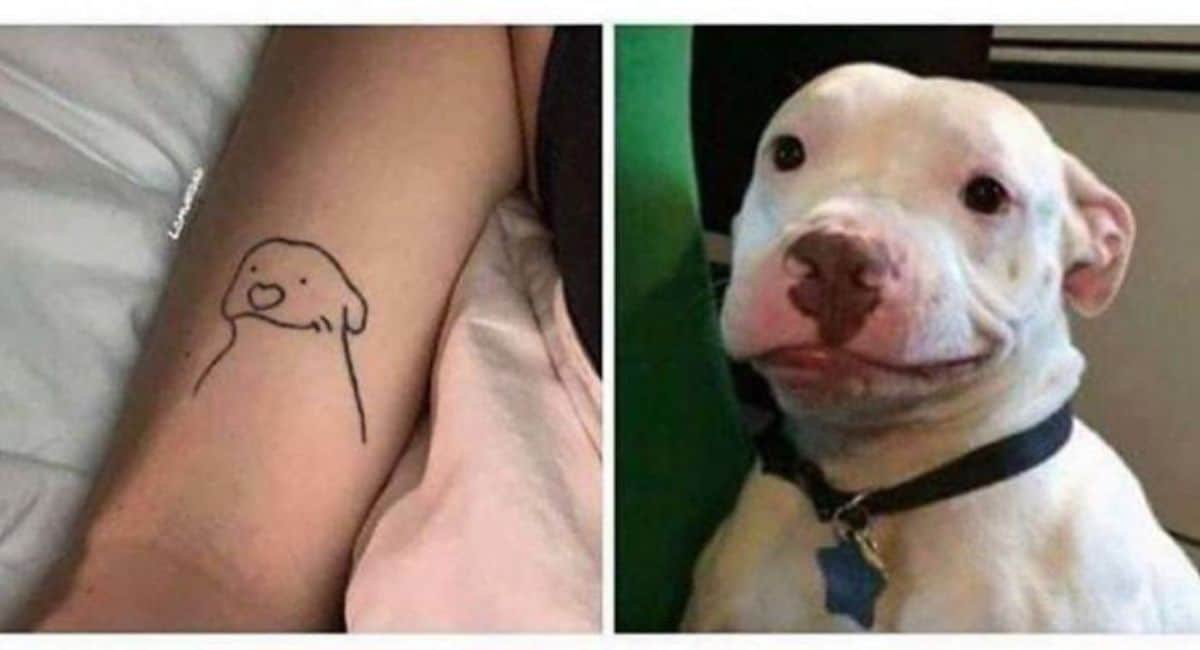 2 photos of a white dog smiling with mouth closed and a tattoo on someone's arm of the dog in minimalist style