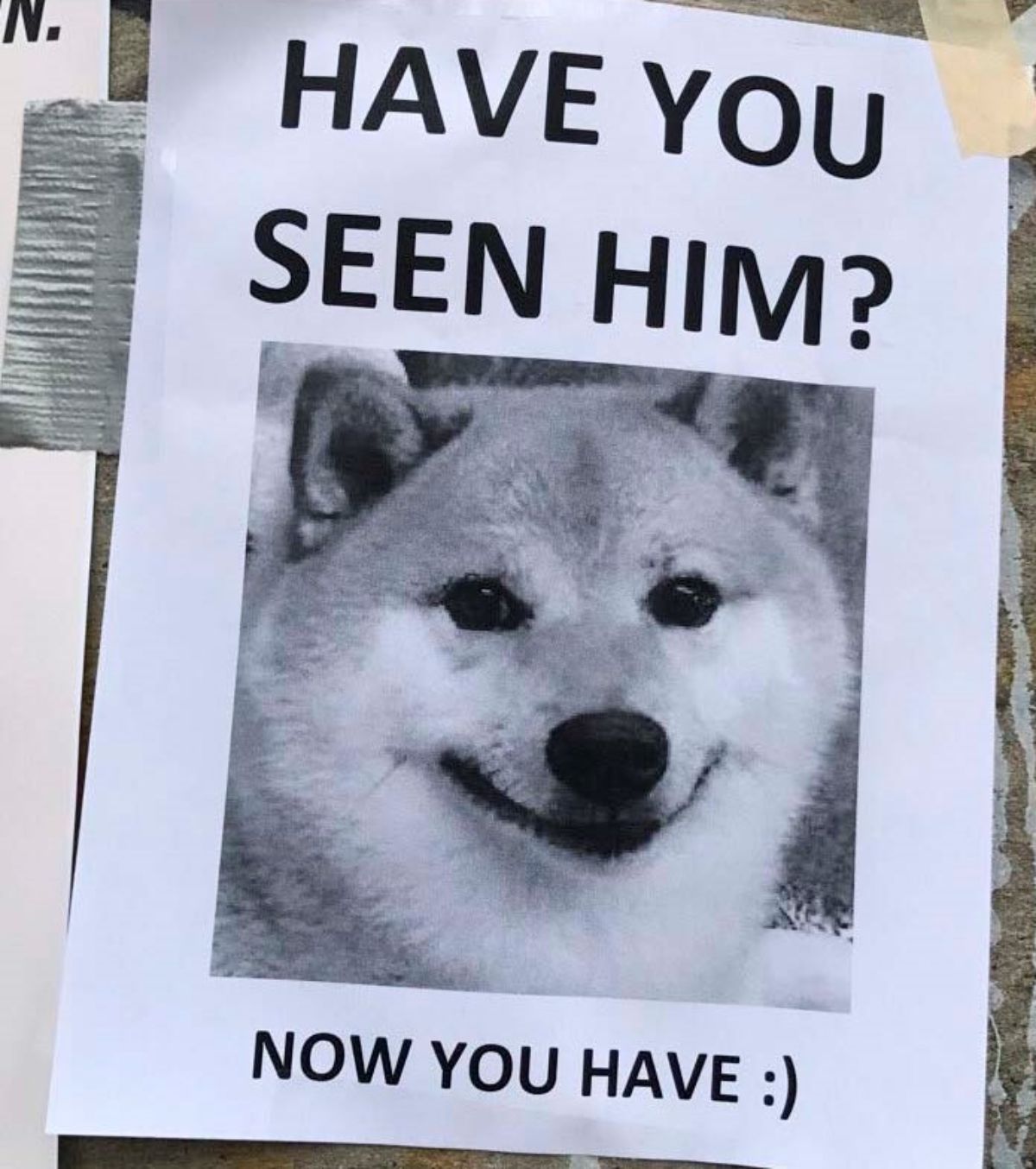 a poster of a shiba inu saying have you seen him now you have with a smiley emoji