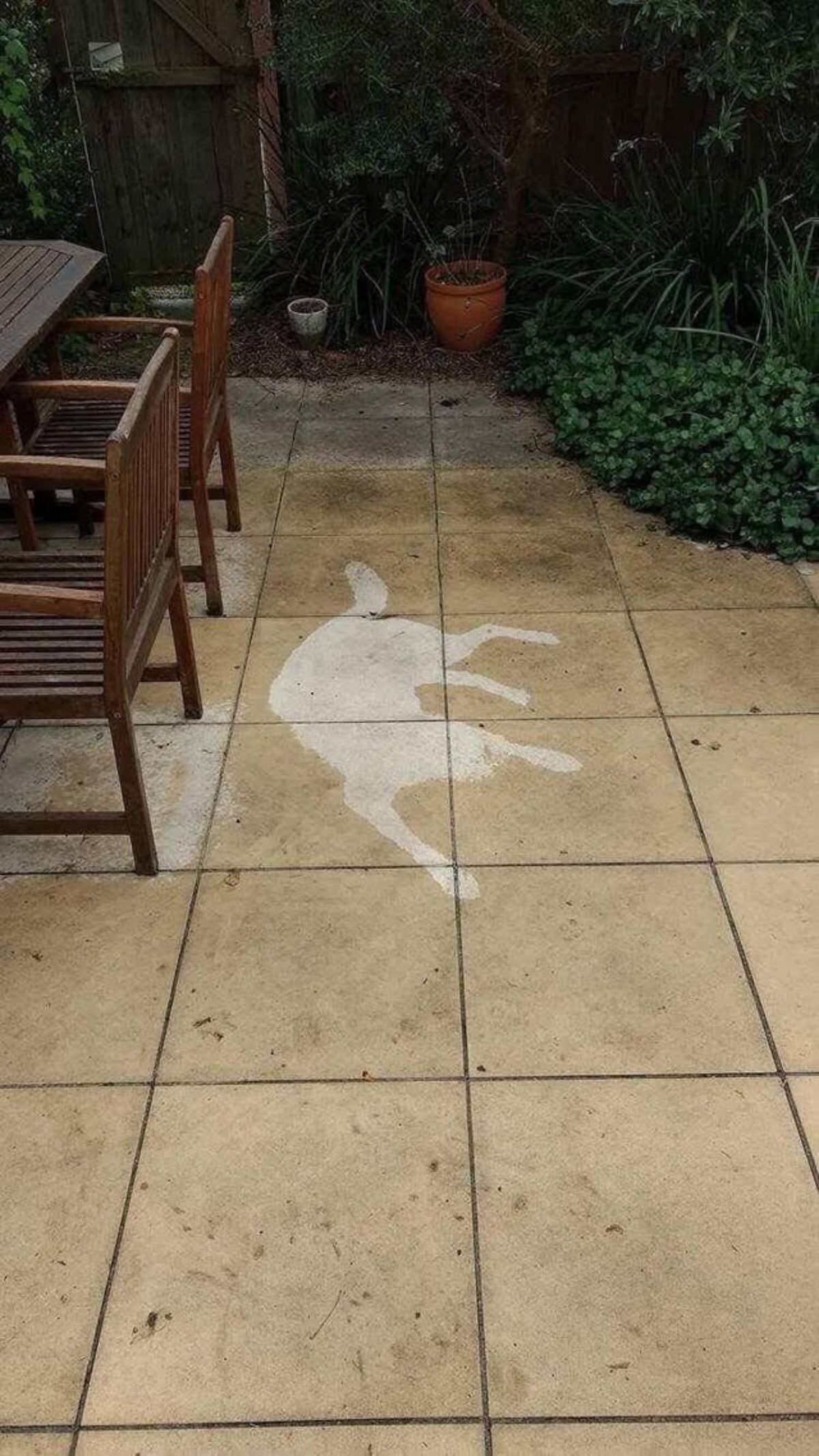 a rain-soaked outdoor area with a dry area in the shape of a dog laying on the floor