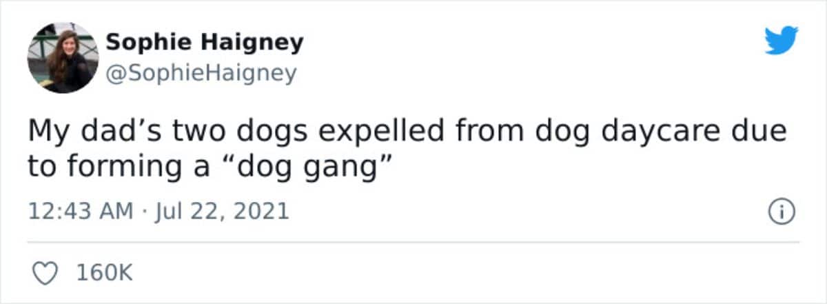 a tweet saying her dad's two dogs were expelled from doggy daycare for forming a dog gang