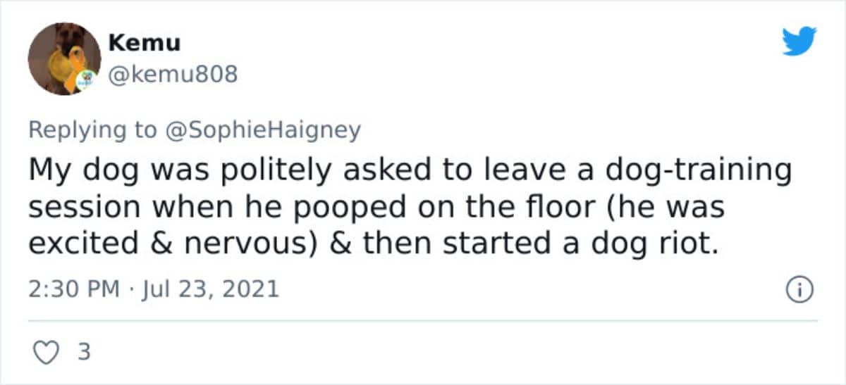 a tweet saying the dog was asked to leave when he pooped and then started a dog riot