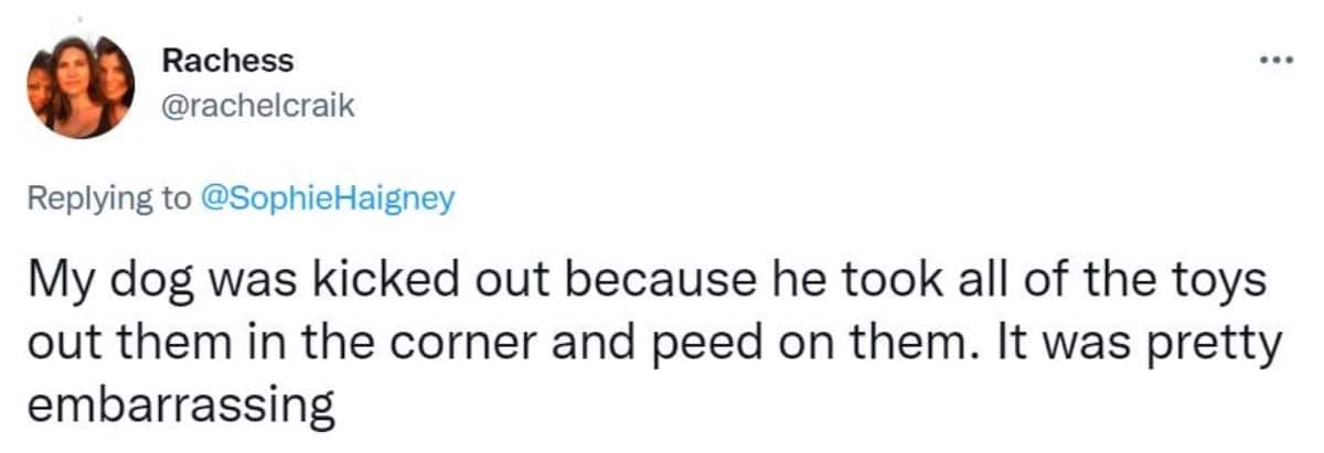 a tweet saying the dog was kicked out because he took all the toys and peed on them