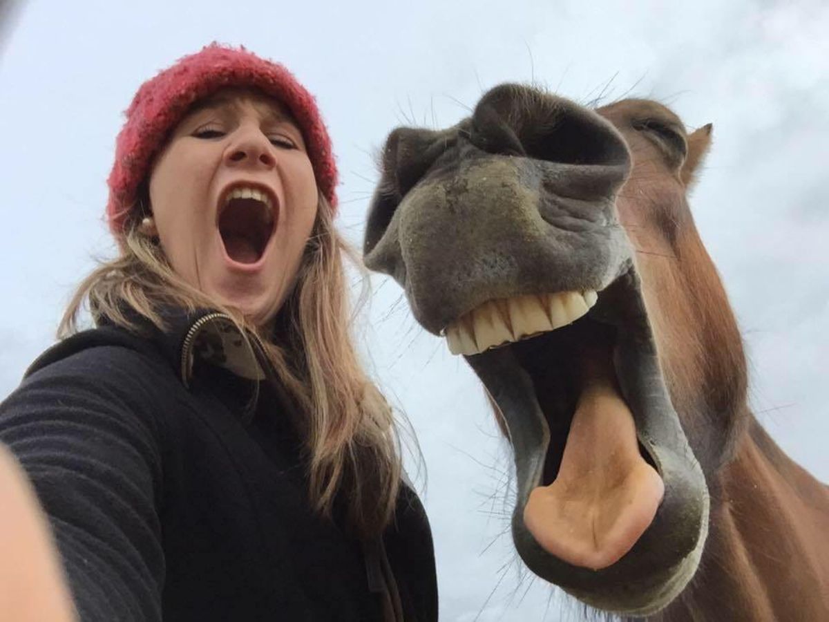 a woman in a red beanie and black shirt and a brown horse with their mouths wide open looking down at the camera